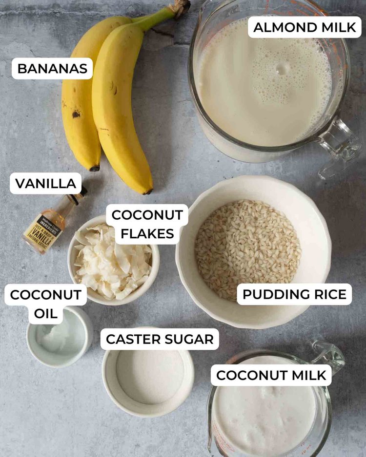 Coconut Rice Pudding — A Vegan Visit