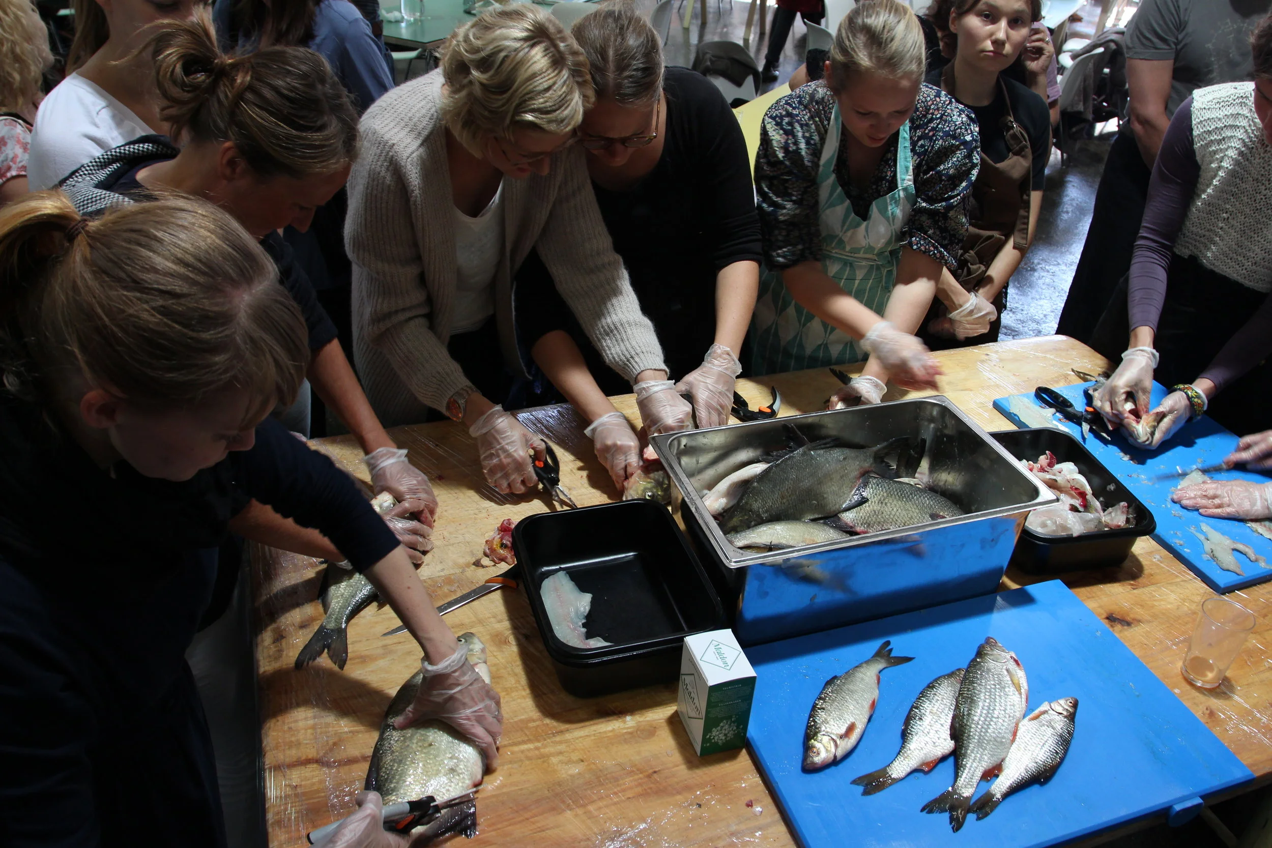  Hands on workshop on how to prepare bream and roach. 