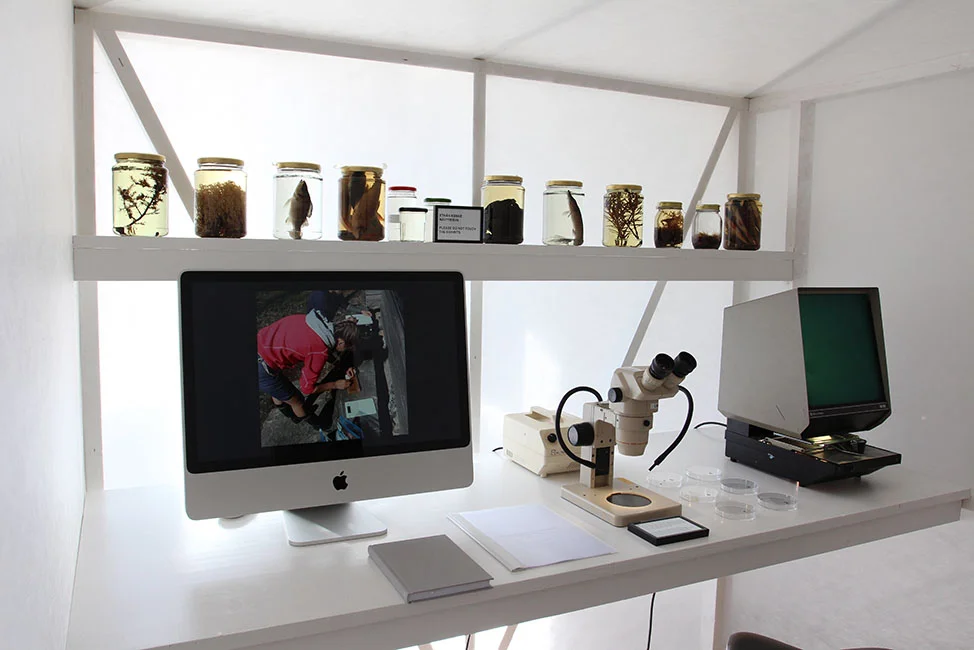 LABORATORIOINSTALLAATIO_1_RENELL_WEB RESO.jpg