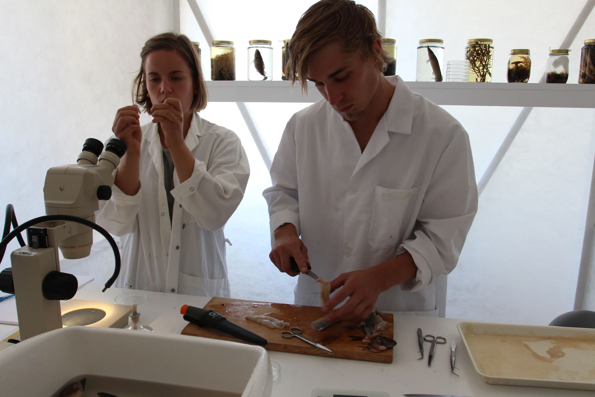 ILABORATORIOINSTALLAATIO_RENELL_WEB RESO_8165.jpg