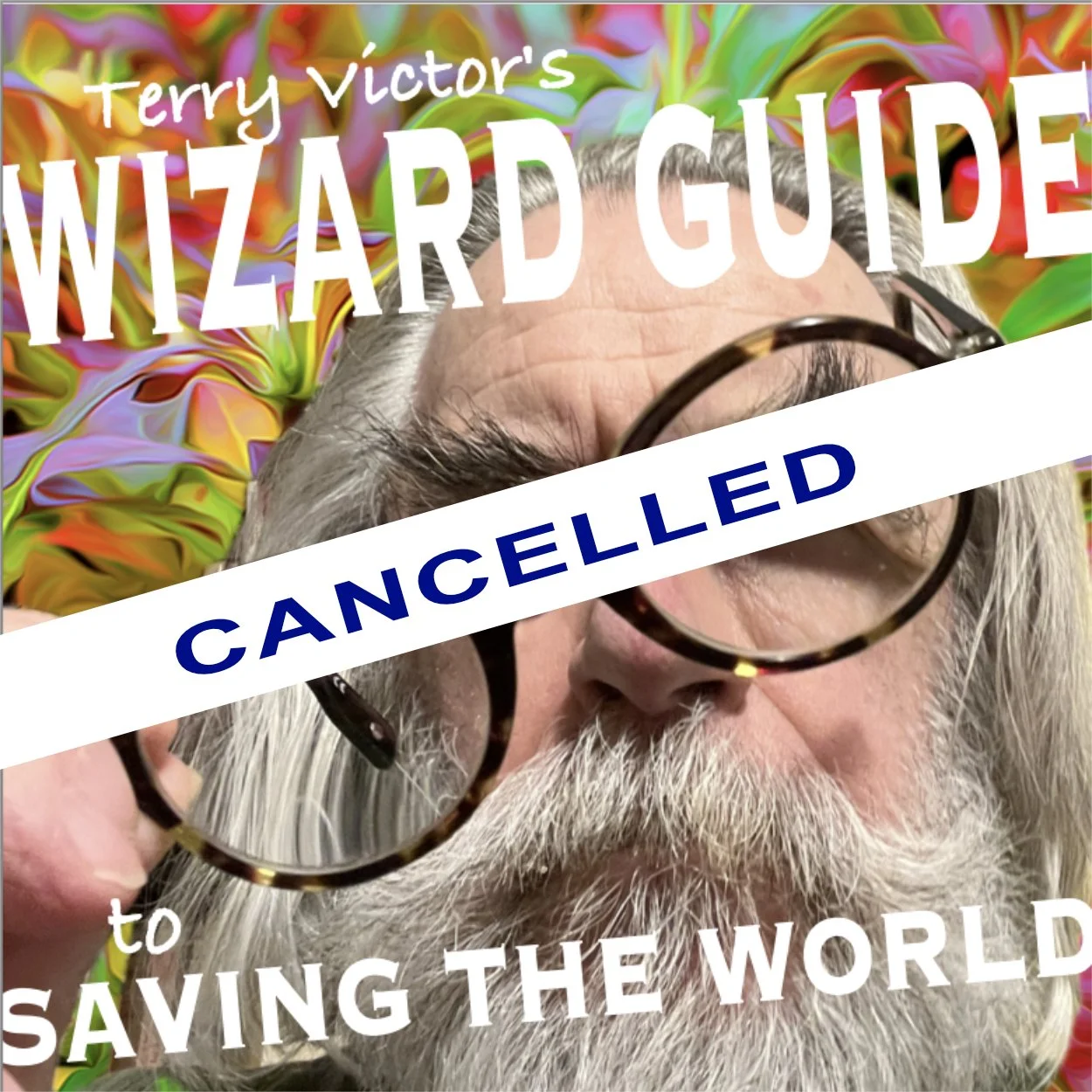 Wizard Guide to Saving the World