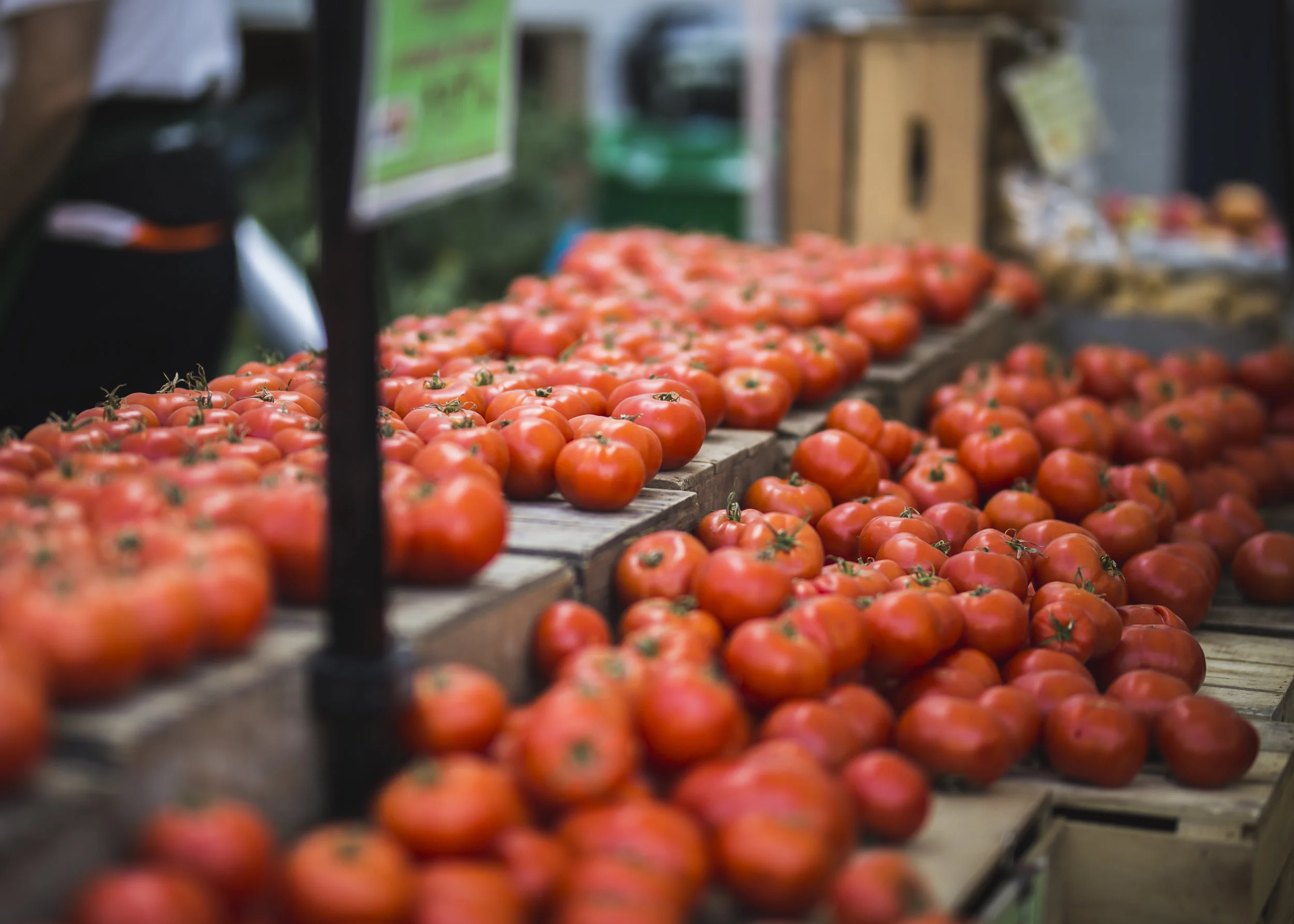 Fresh Tomatoes.