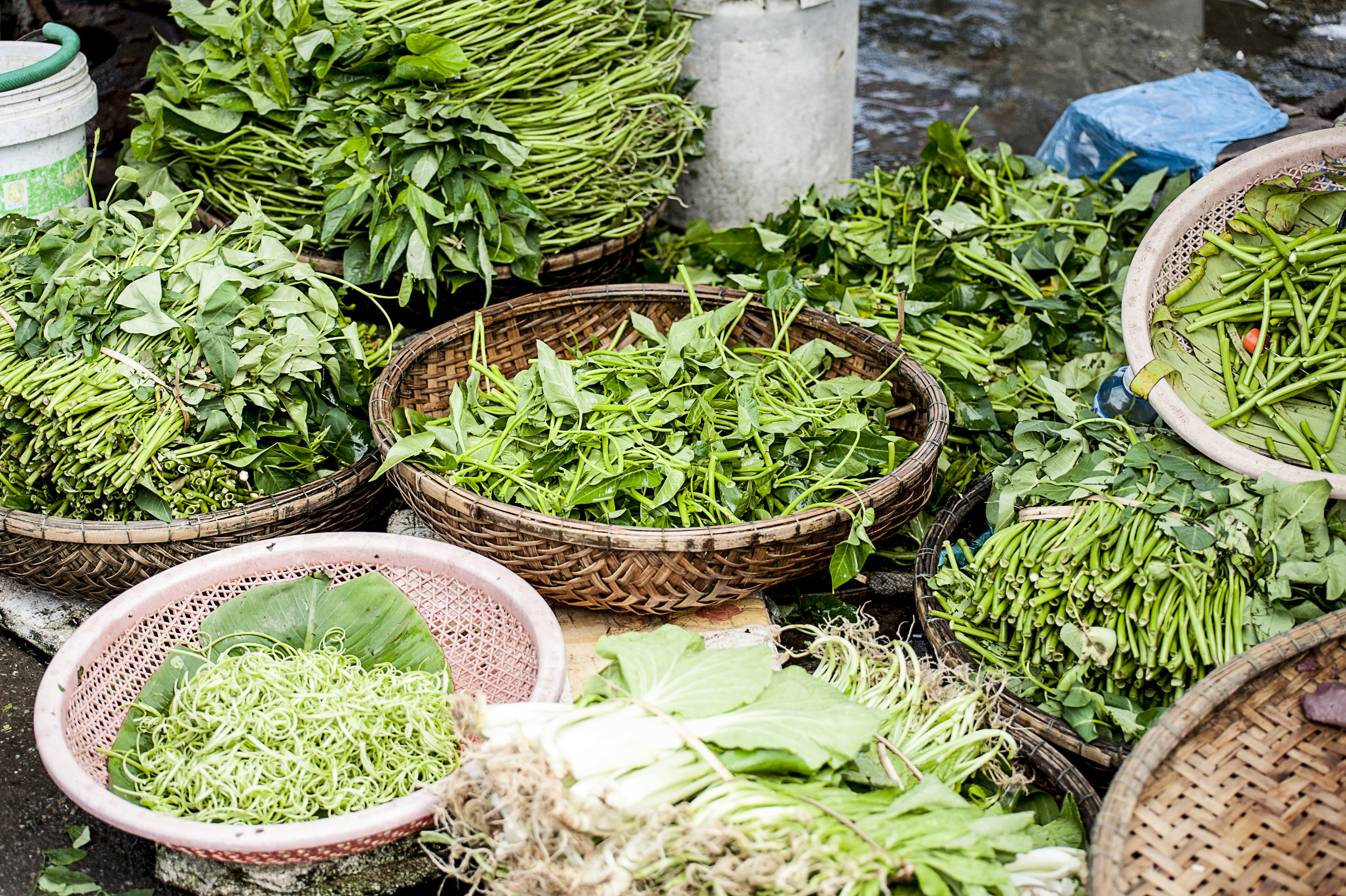 Fresh Herbs.