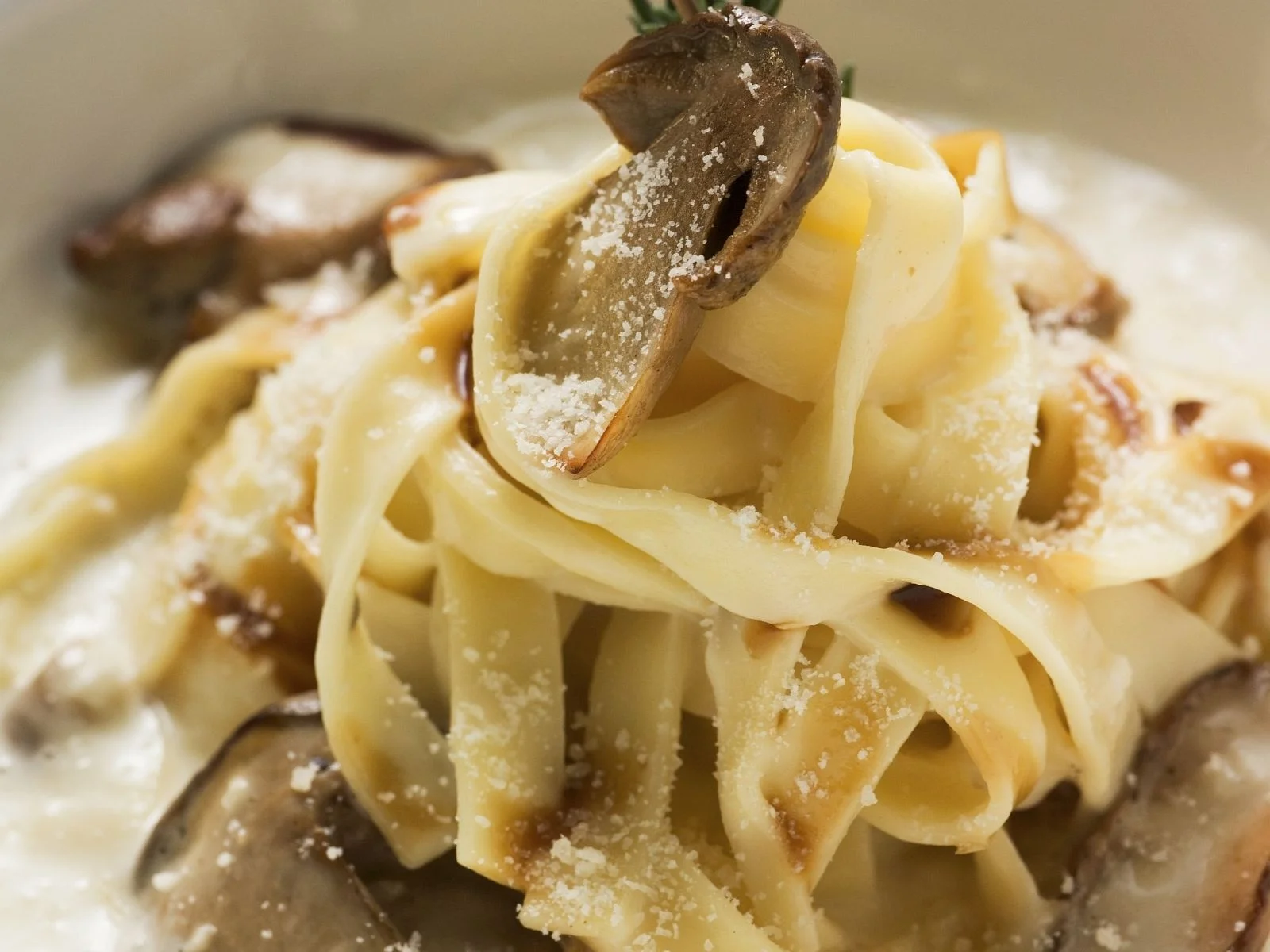 Mushroom Month: Porcini Mushroom Tagliatelle