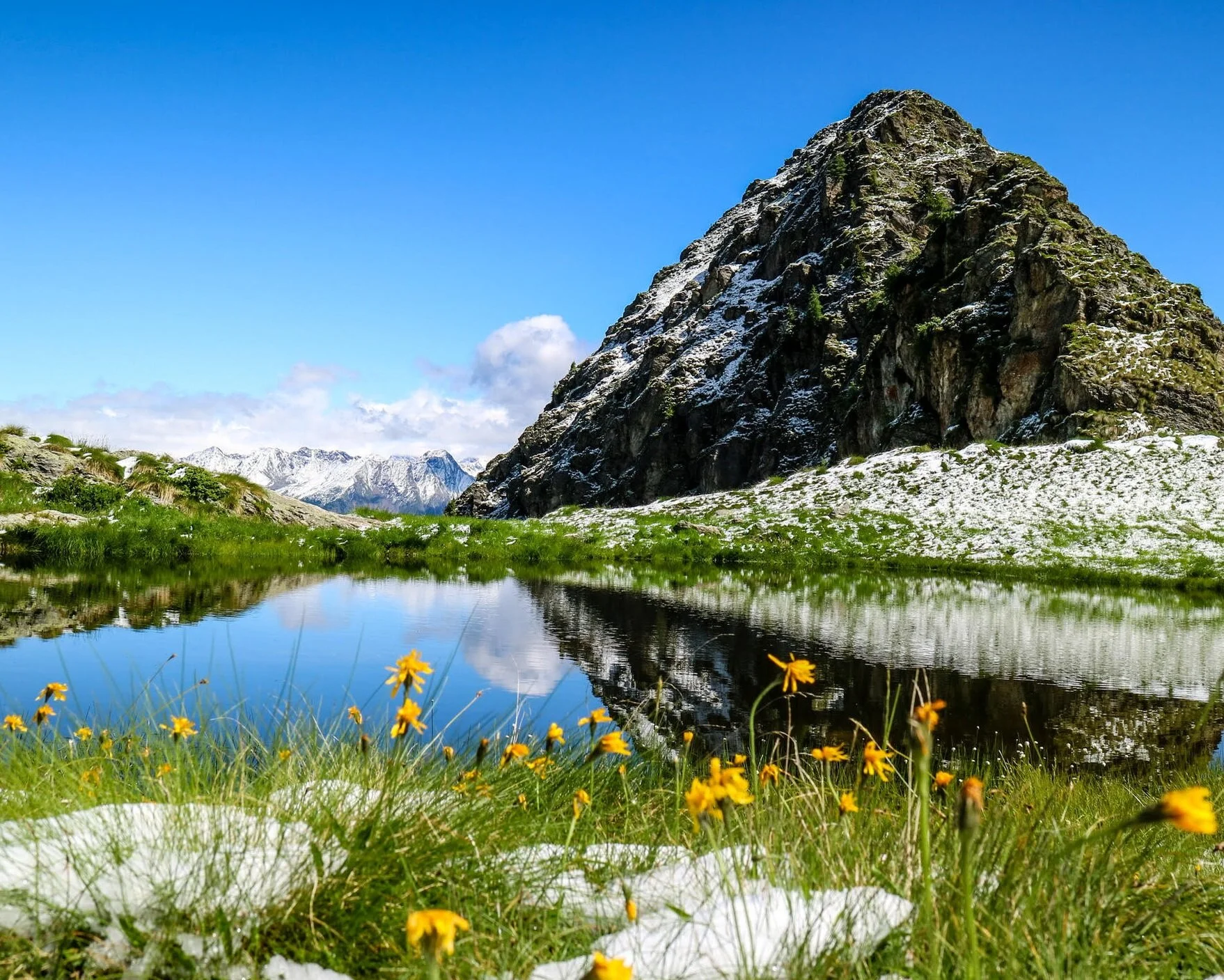 Source: Wikimedia Commons