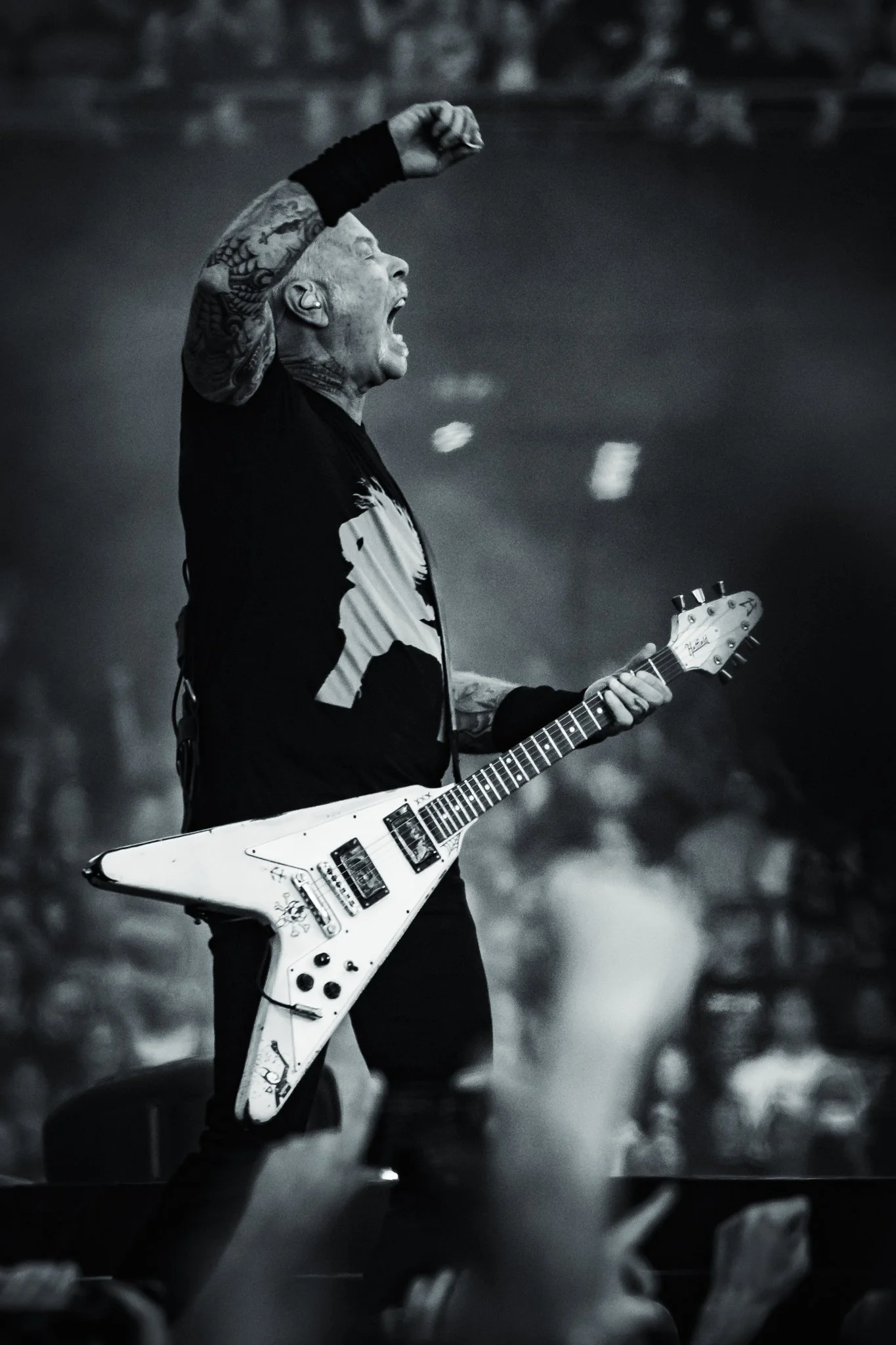 Metallica Aviva Stadium Photo by Ray Keogh-14.jpg