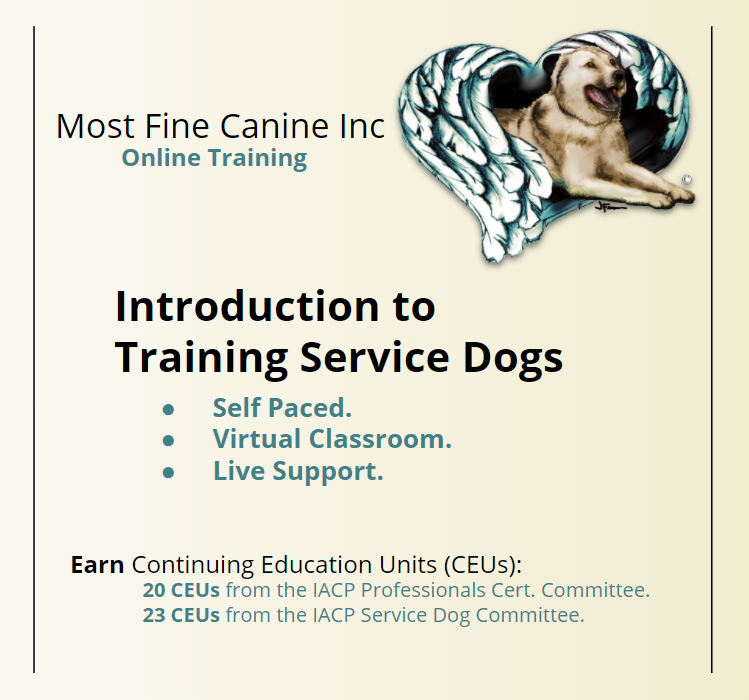 website product pic - introSDs.PNG