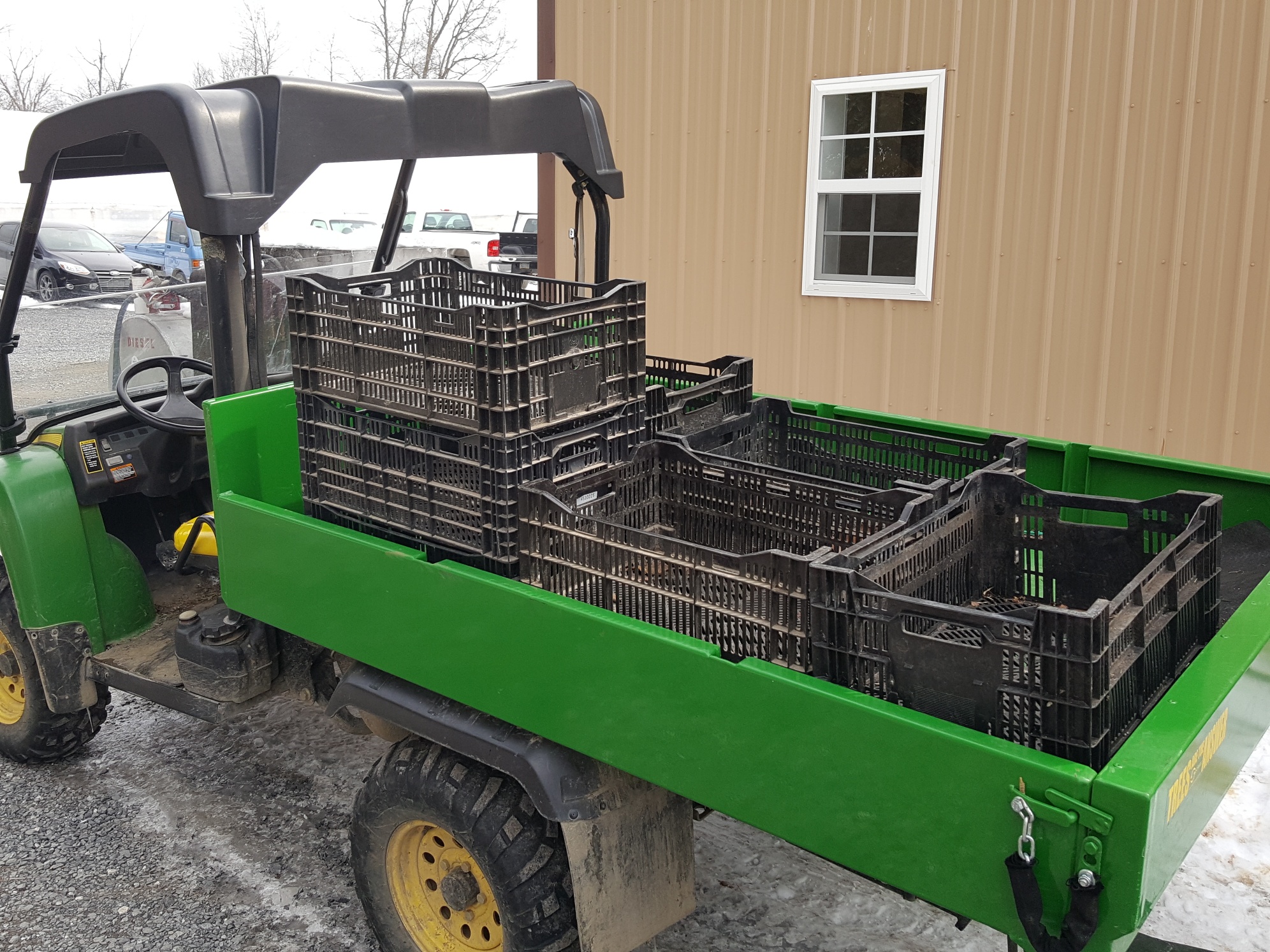 Resized_20190307_124245.jpeg