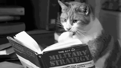 giphy-13.gif