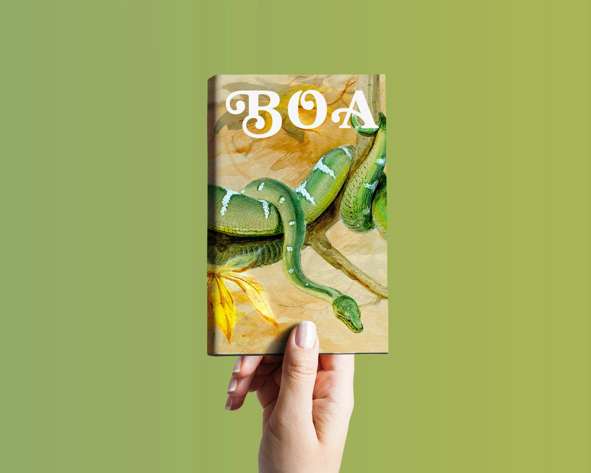 boa.jpg