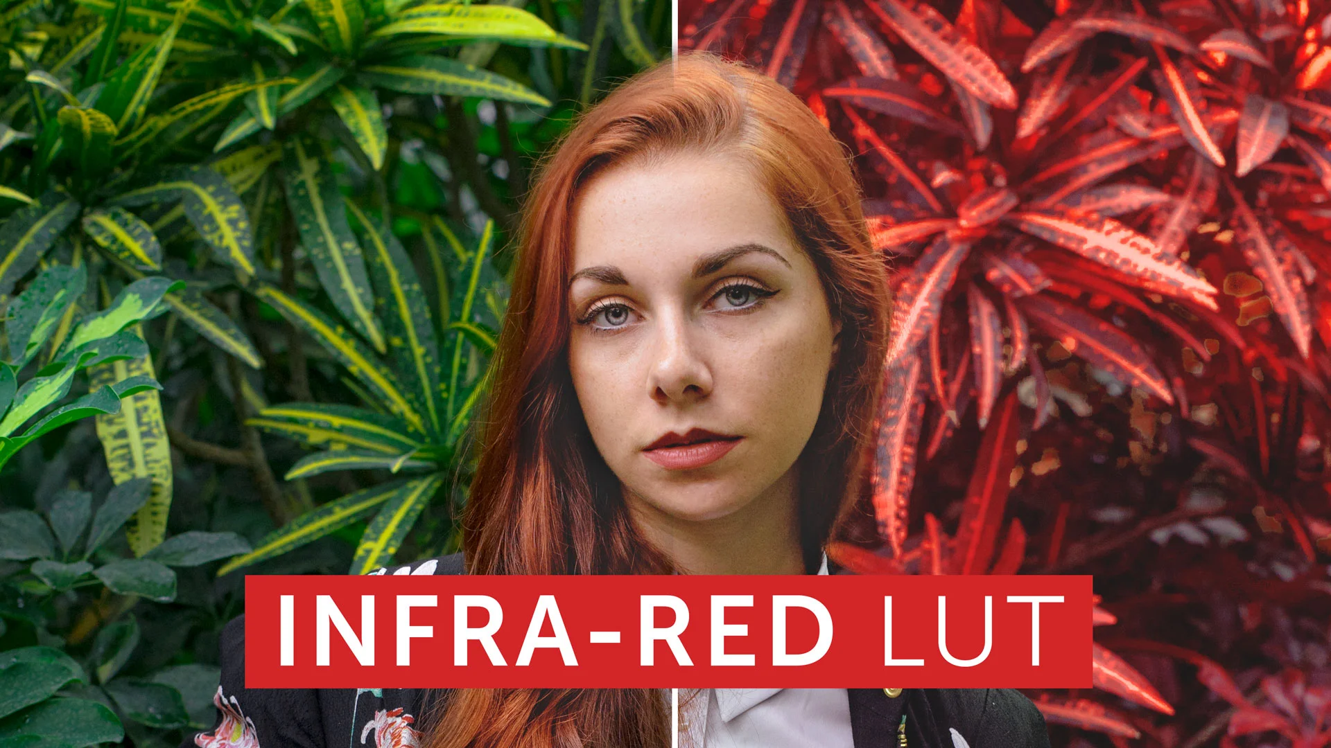 This Is the First True Infrared Cinematic LUT (Premiere & Photoshop)