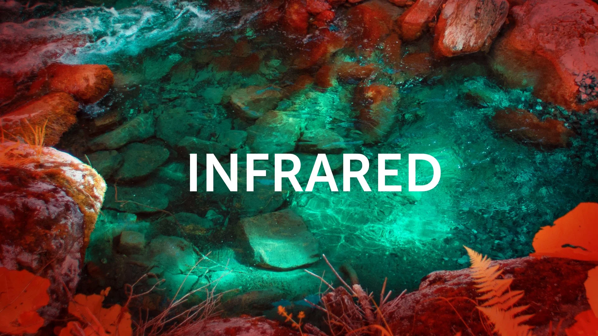 This Camera Turns Water into Something Weird and Beautiful