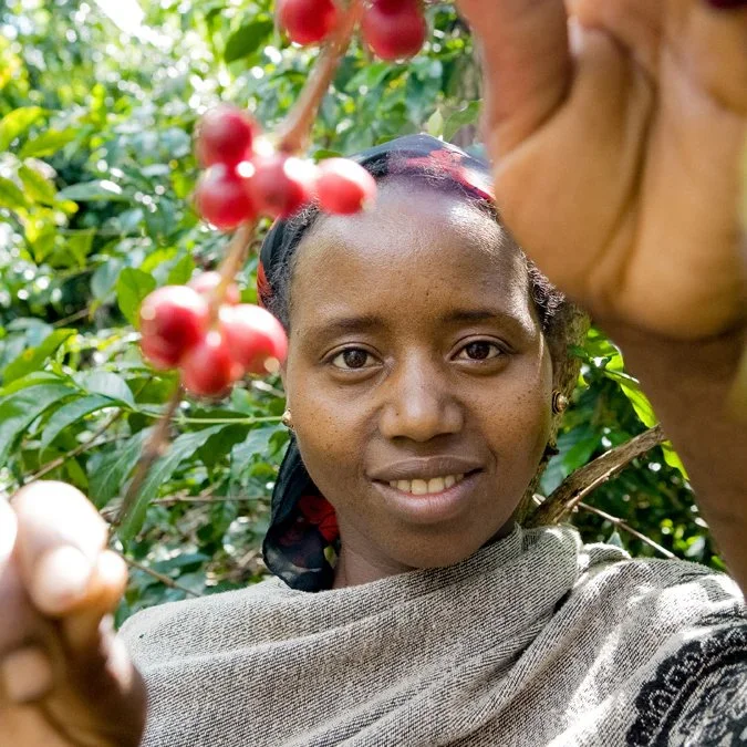 Co-op Partners Proudly Presents: Pachamama Coffee