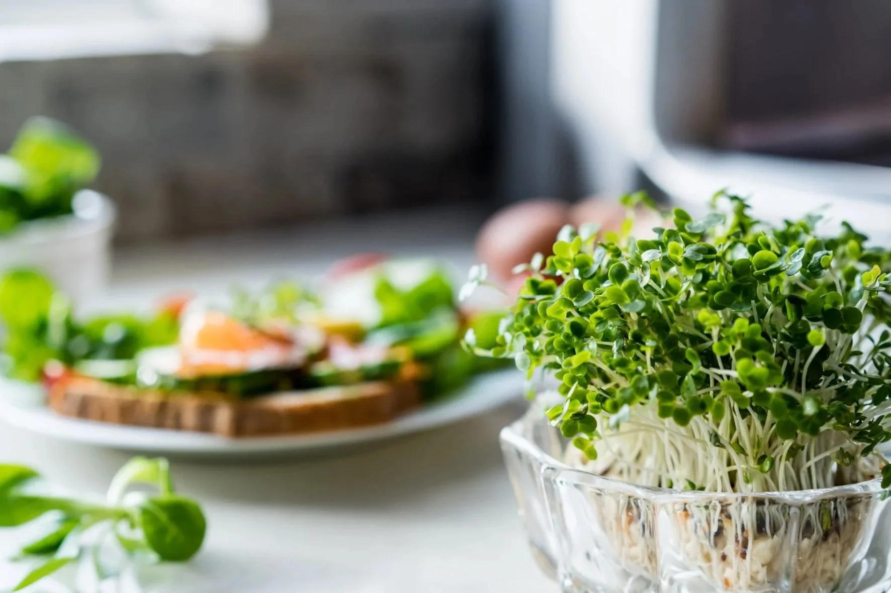 Grower Feature: Everything Sprouts