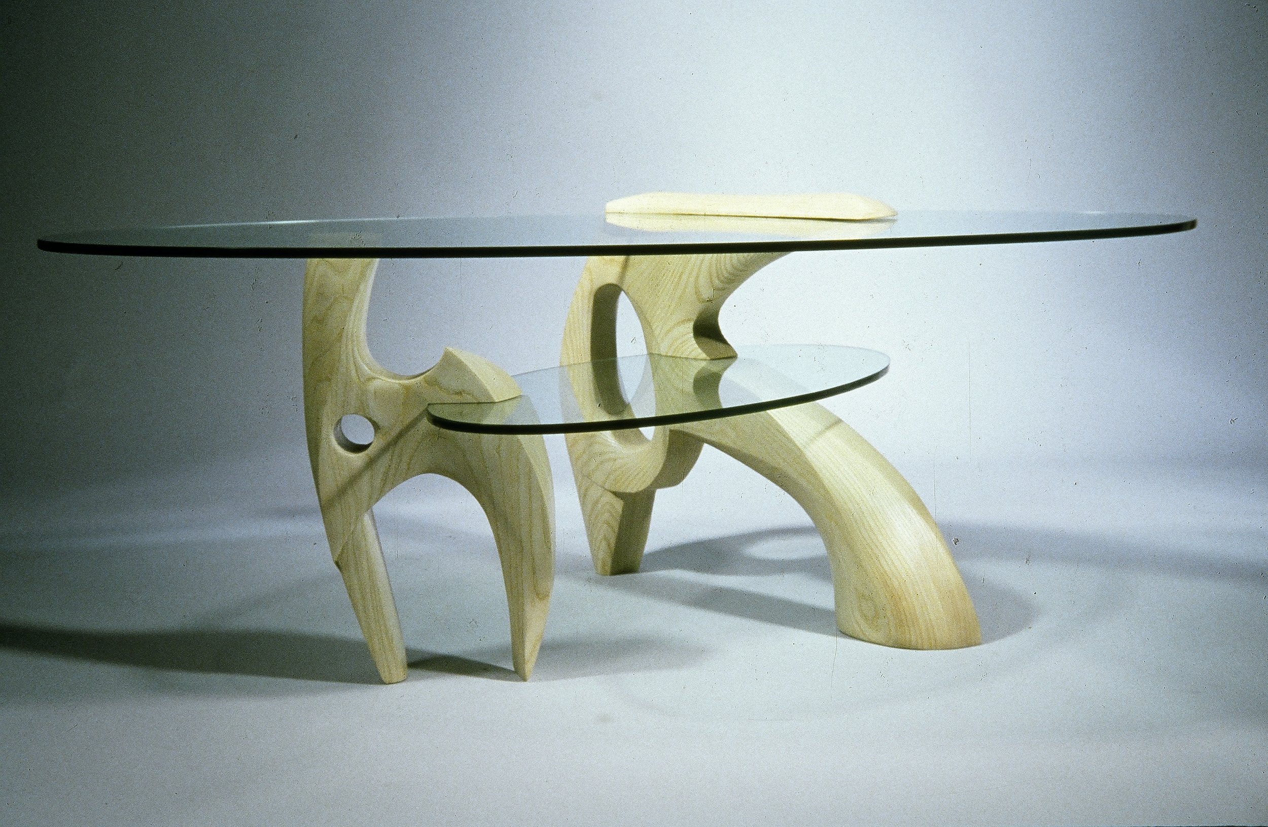 Fossil Coffee Table.JPG