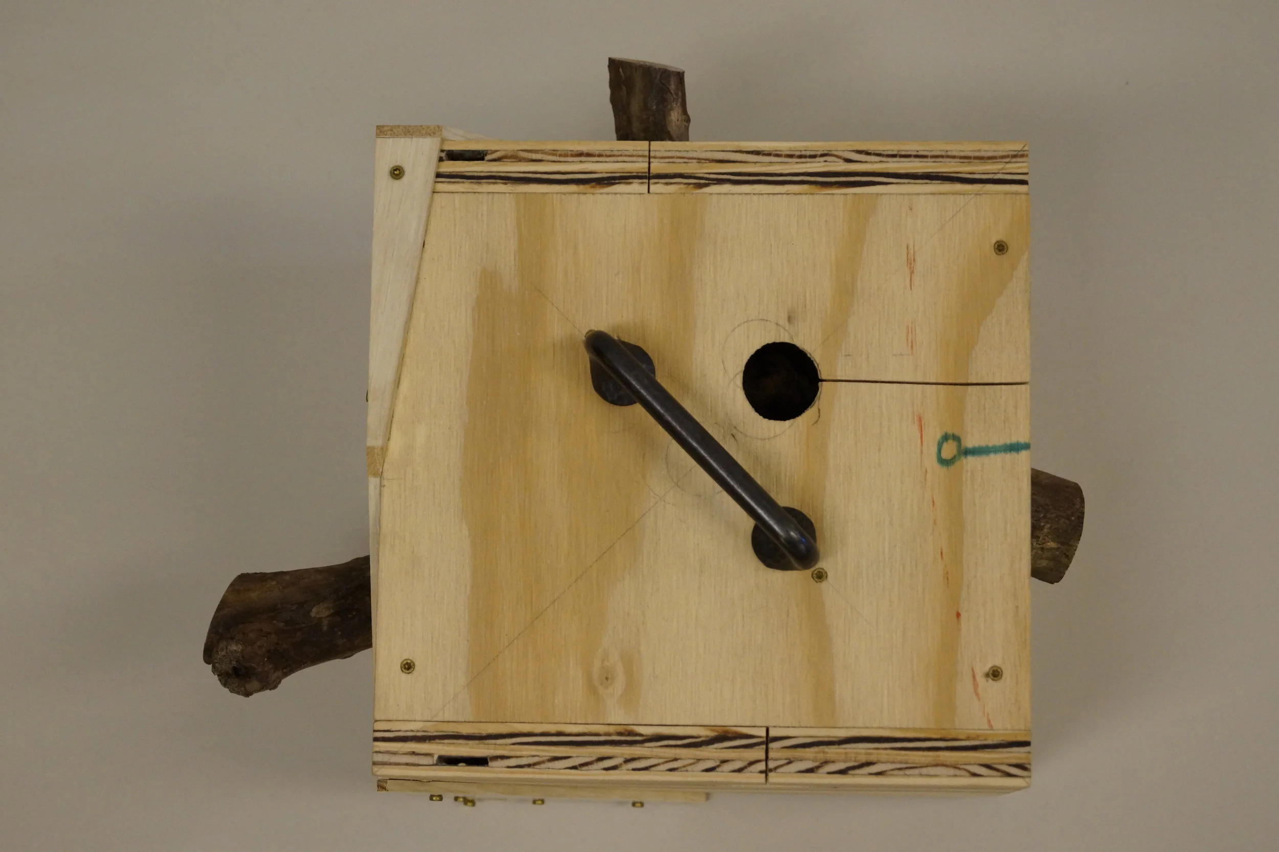 Handbag For A State Tree_3.JPG