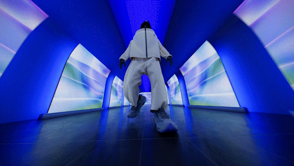 Interoperable avatars