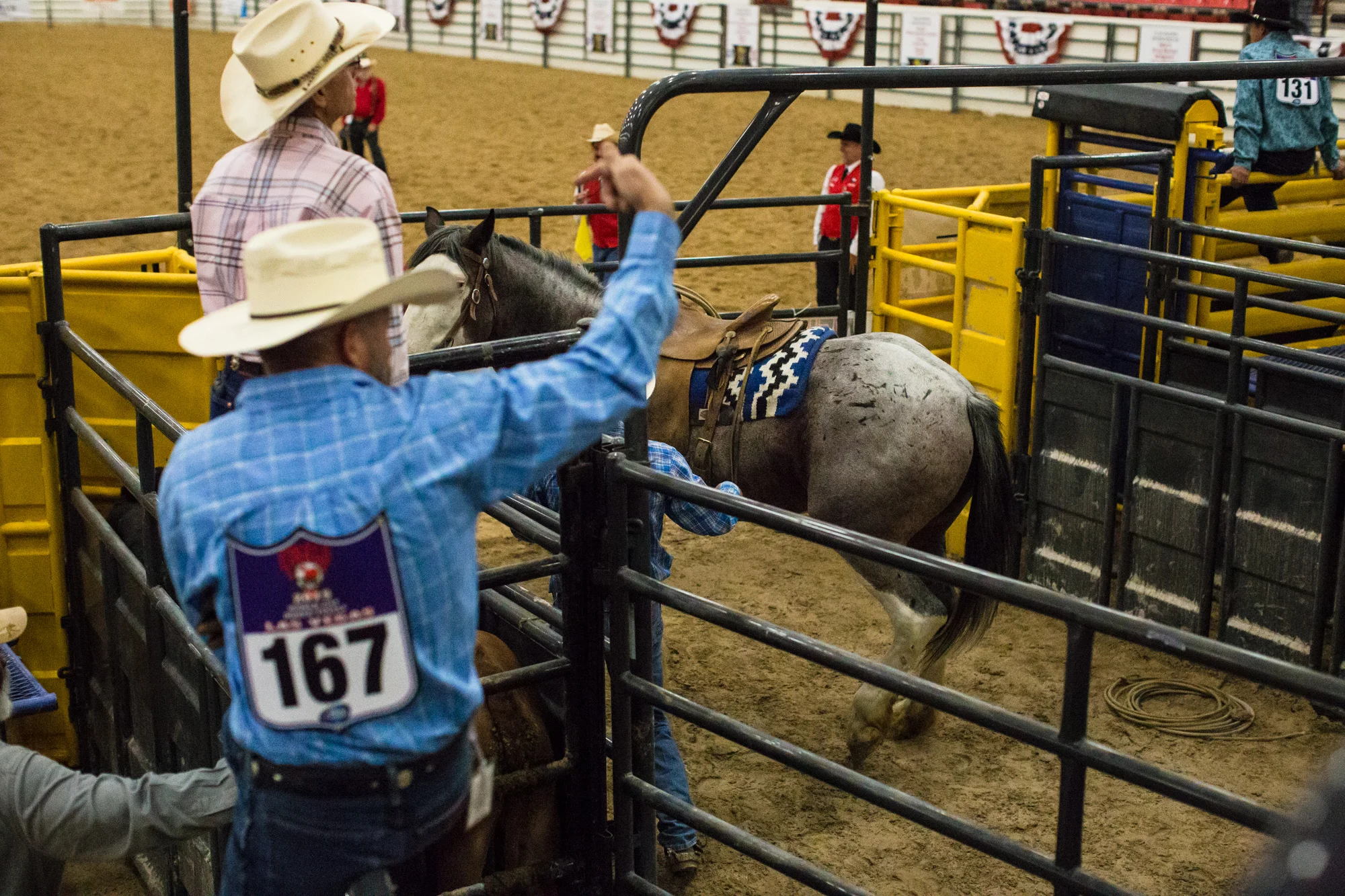 Rodeo staff move the animals along for Chute Dogging, or Steer Wrestling, during the World Gay Rodeo Finals in Las Vegas, NV.