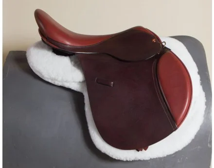 sadd-jump_foxhunter_roeberry_side_view_1.jpg