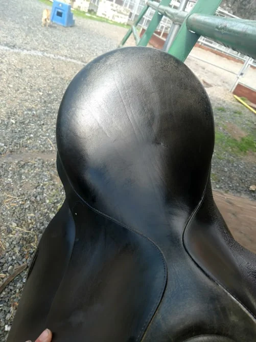 Sam Ellis saddle 2.jpg