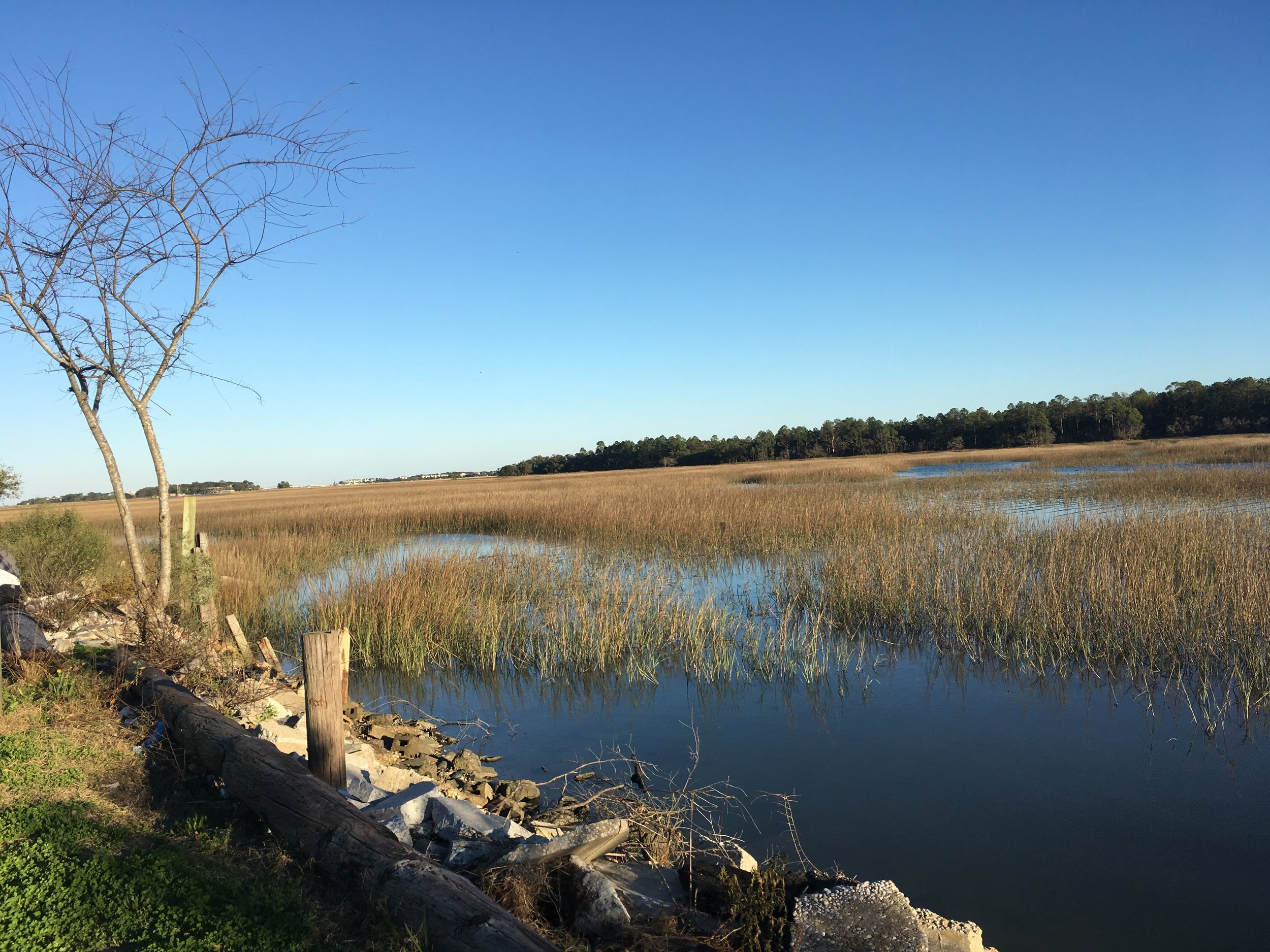 Mosquito Beach Cleanup
