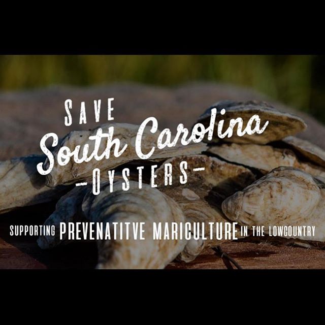 Family, friends, fans and followers! Some of you may be aware of the fight for oysters in the Lowcountry, but many of you may not be. In recent months, a small group of Charlestonians has raged war on the oyster farming industry because they don&rsqu