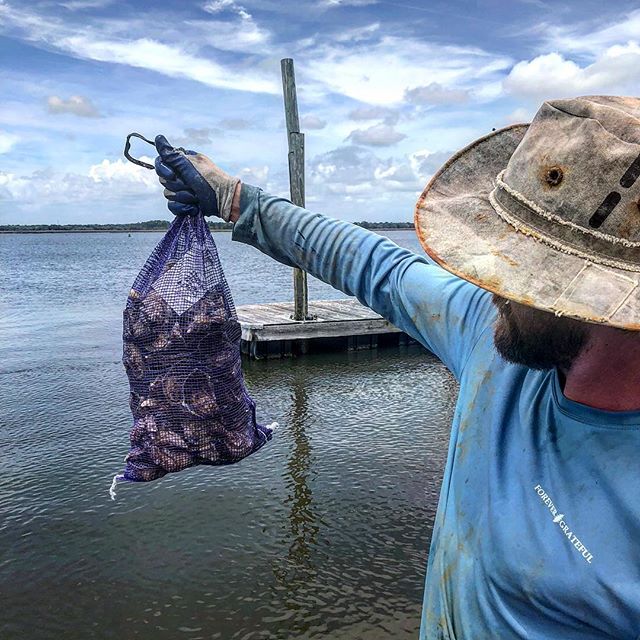 &ldquo;Oystahs Oystahs&rdquo; come and get em!!!! Man it feels good to be back on the water! Get em quick while they last @167_raw @darling_oyster_bar @chubbyfishchs #itfeelsgoodtohavetheseperkyseas #oysters #charleston #oysterstrong #perkyseacups #p