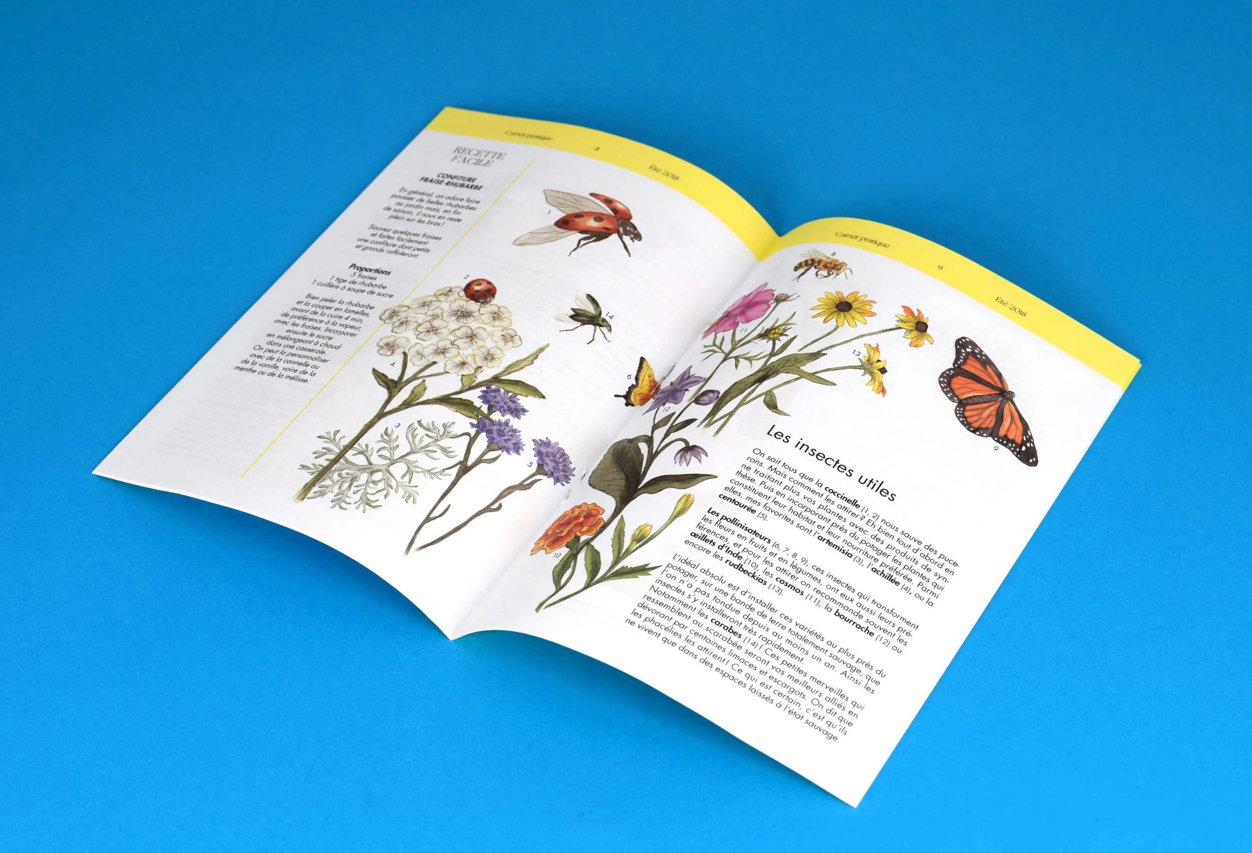 Marie-de-Beaucourt-illustration-editorial-regain-magazine-web-inside-leaflet.jpg