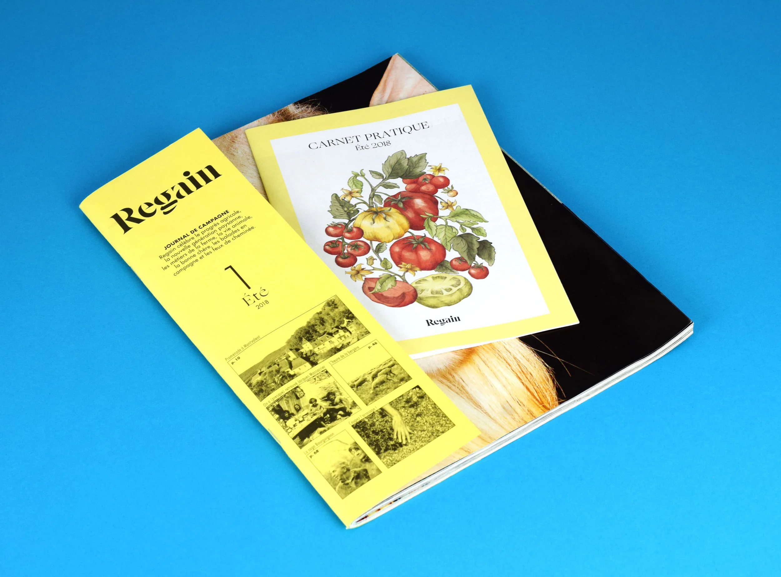 Marie-de-Beaucourt-illustration-editorial-regain-magazine-web-leaflet-top-mag.jpg