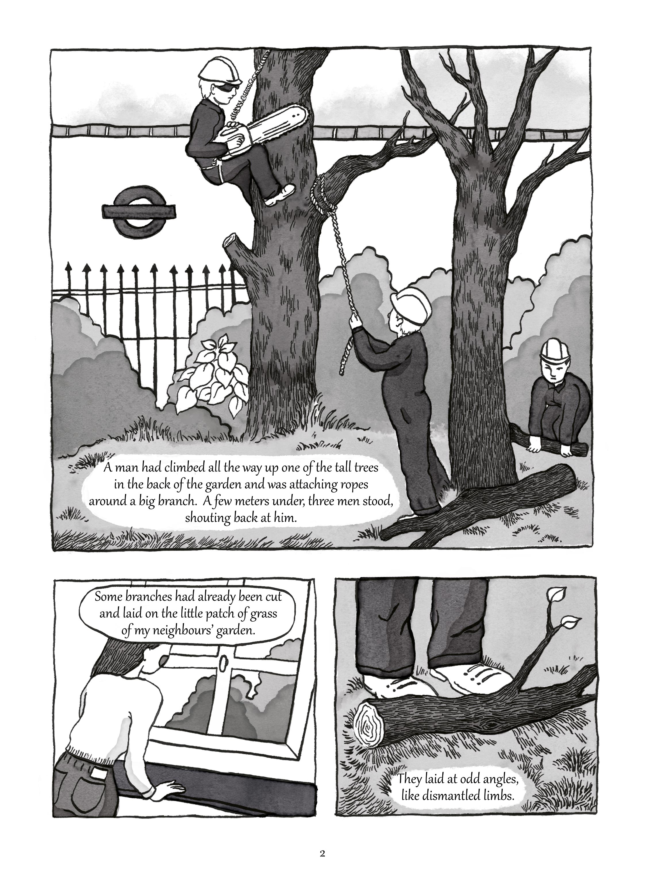 Marie-de-Beaucourt-Illustration-Two-Trees-Graphic-Novel-page2.jpg