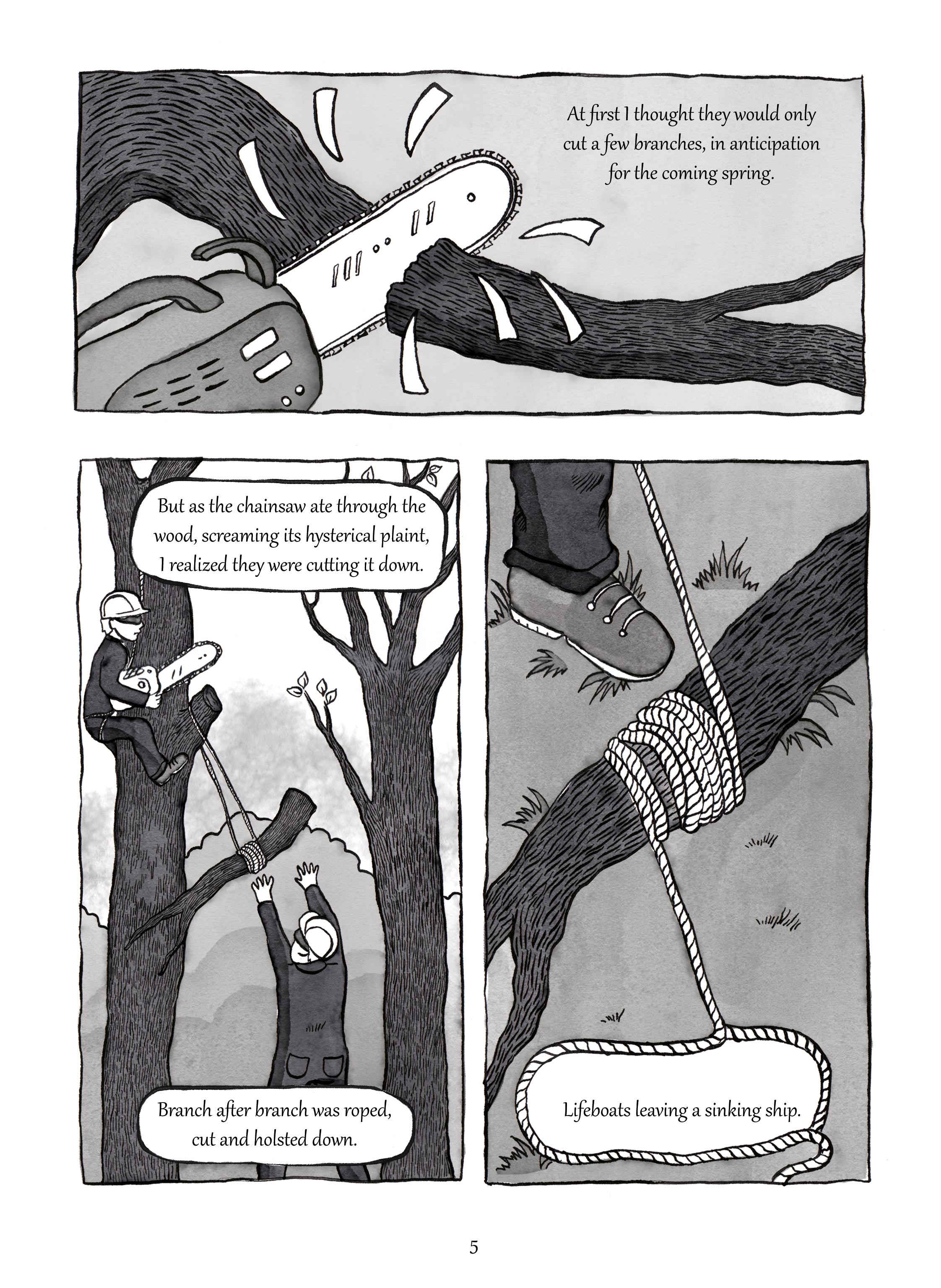Marie-de-Beaucourt-Illustration-Two-Trees-Graphic-Novel-page5.jpg
