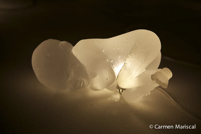 Umbilicus-Carmen-Mariscal-1.jpg