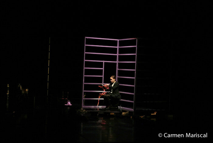 chambre-Carmen-Mariscal-16.jpg
