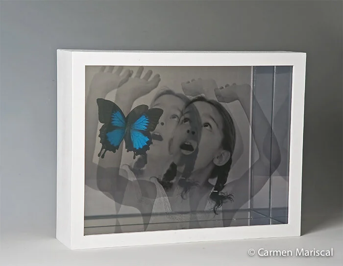 Los Insectos I