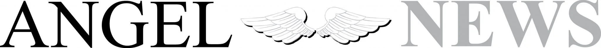 angelnewsLogo.jpg