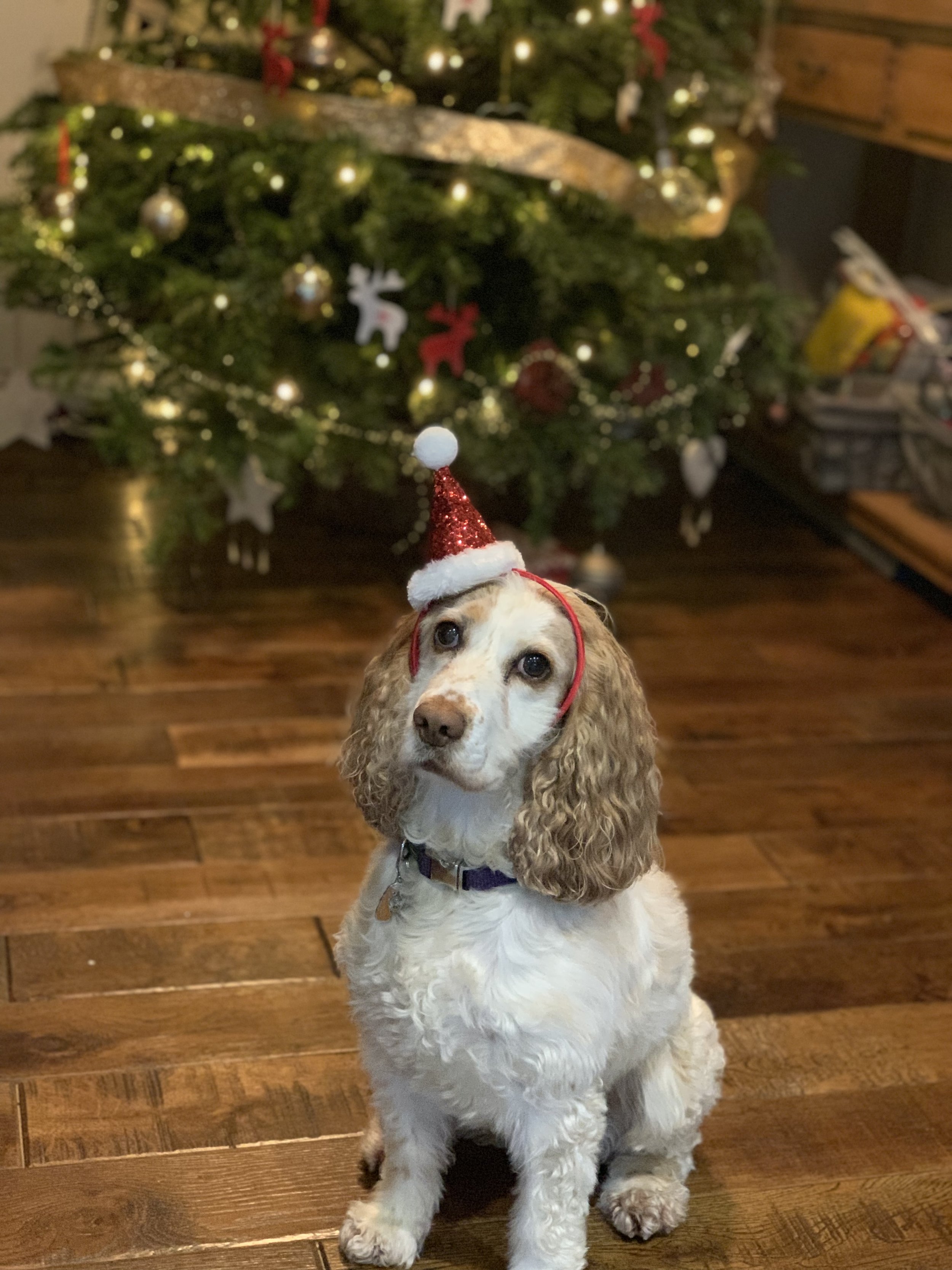 New Years Resolutions