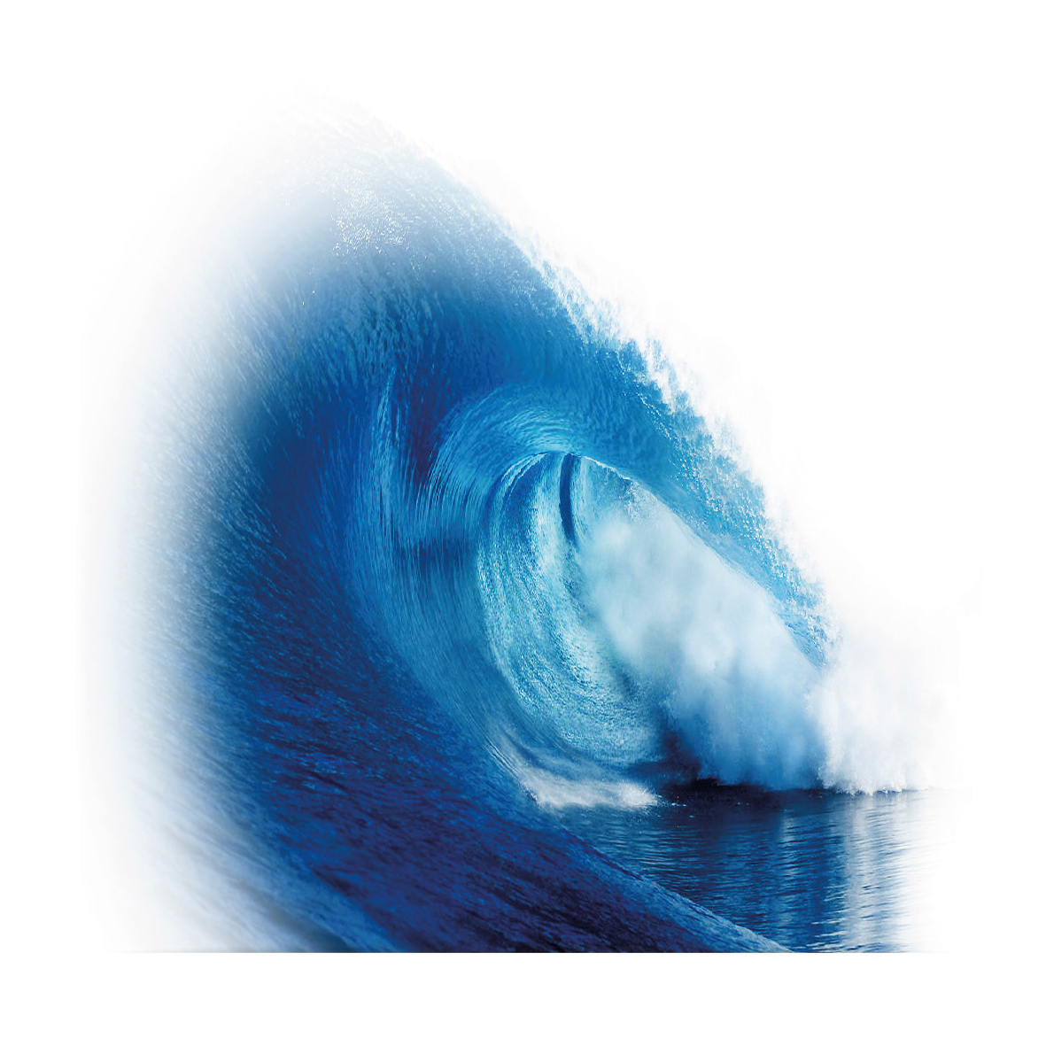 7_oNature_Flower_Sea-Breeze.jpg