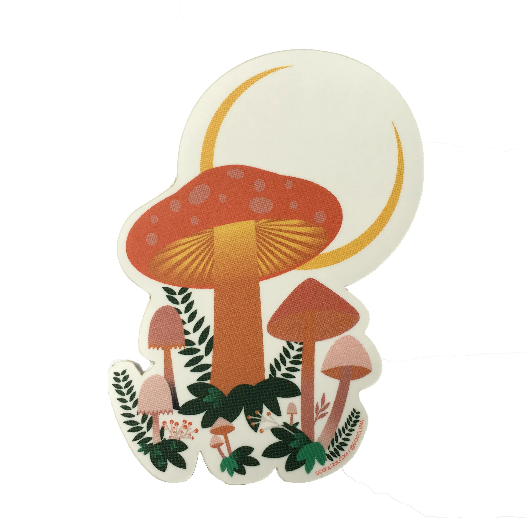 mushroom.jpg