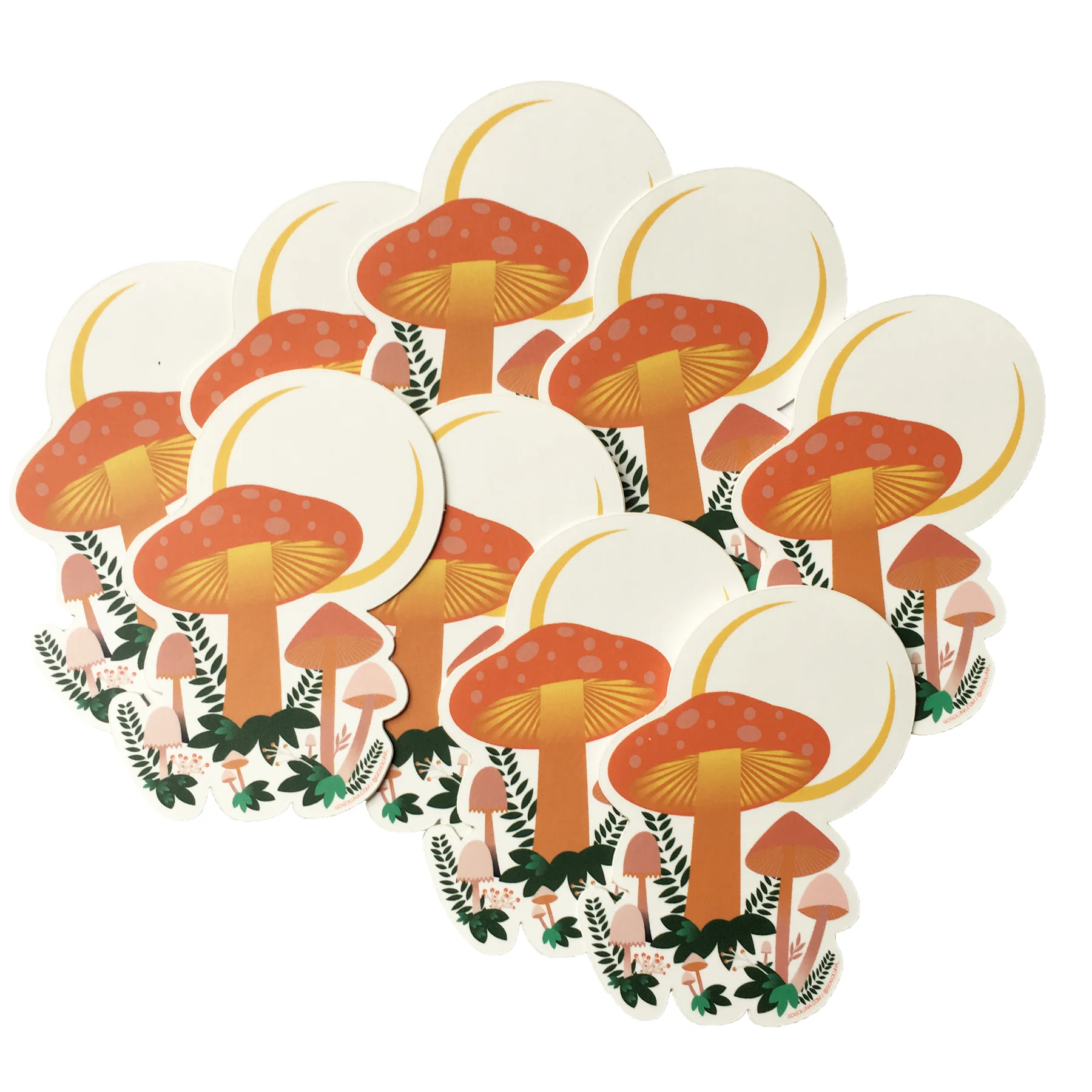 mushroom2.jpg