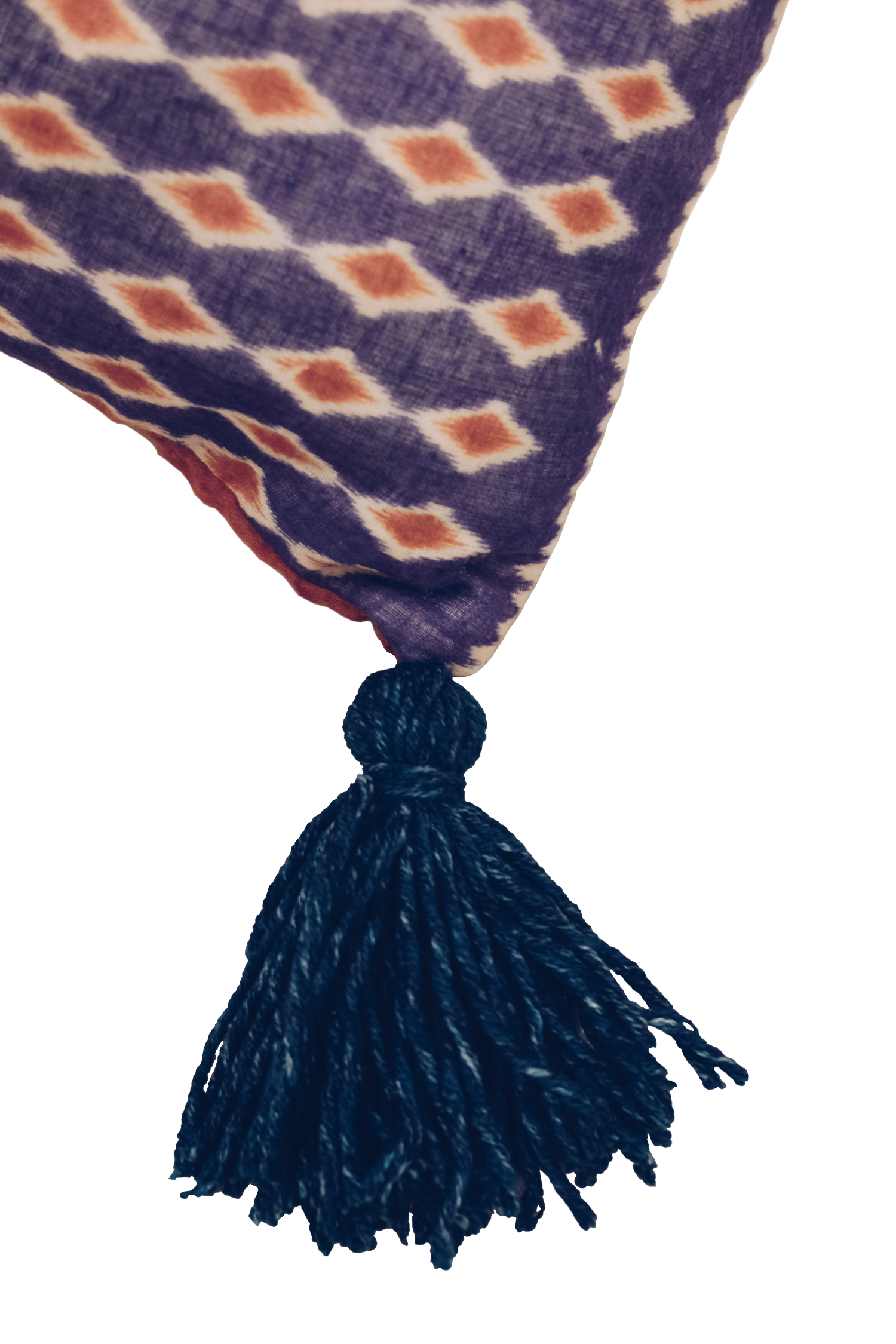 Tassle-2.png