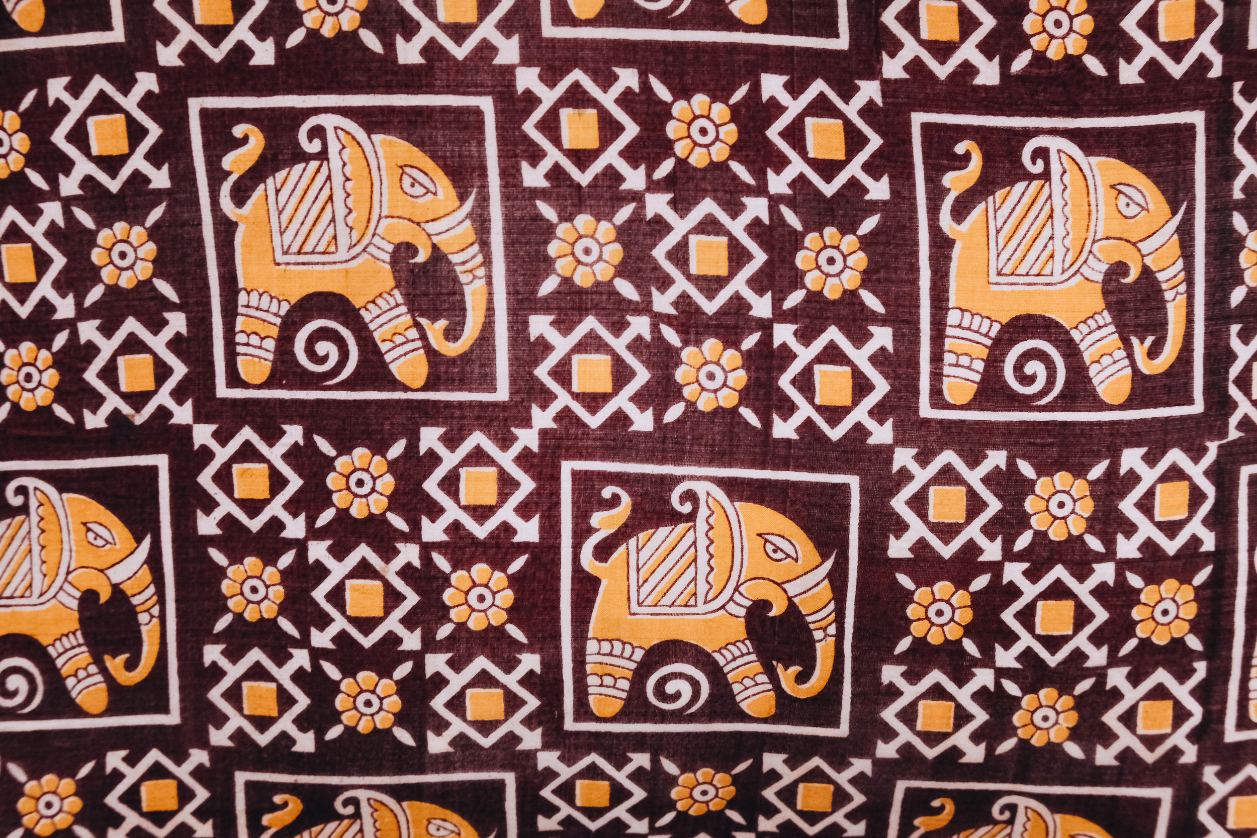 Close Up.jpg