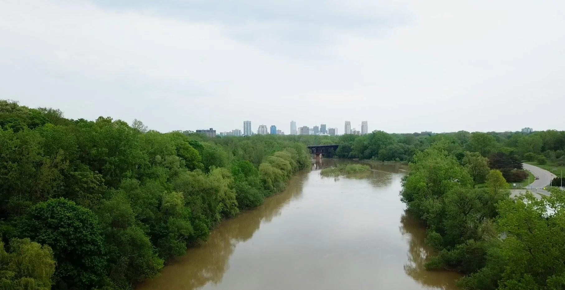  Diversity, Inclusion, and Anti-Oppression Committee Experience