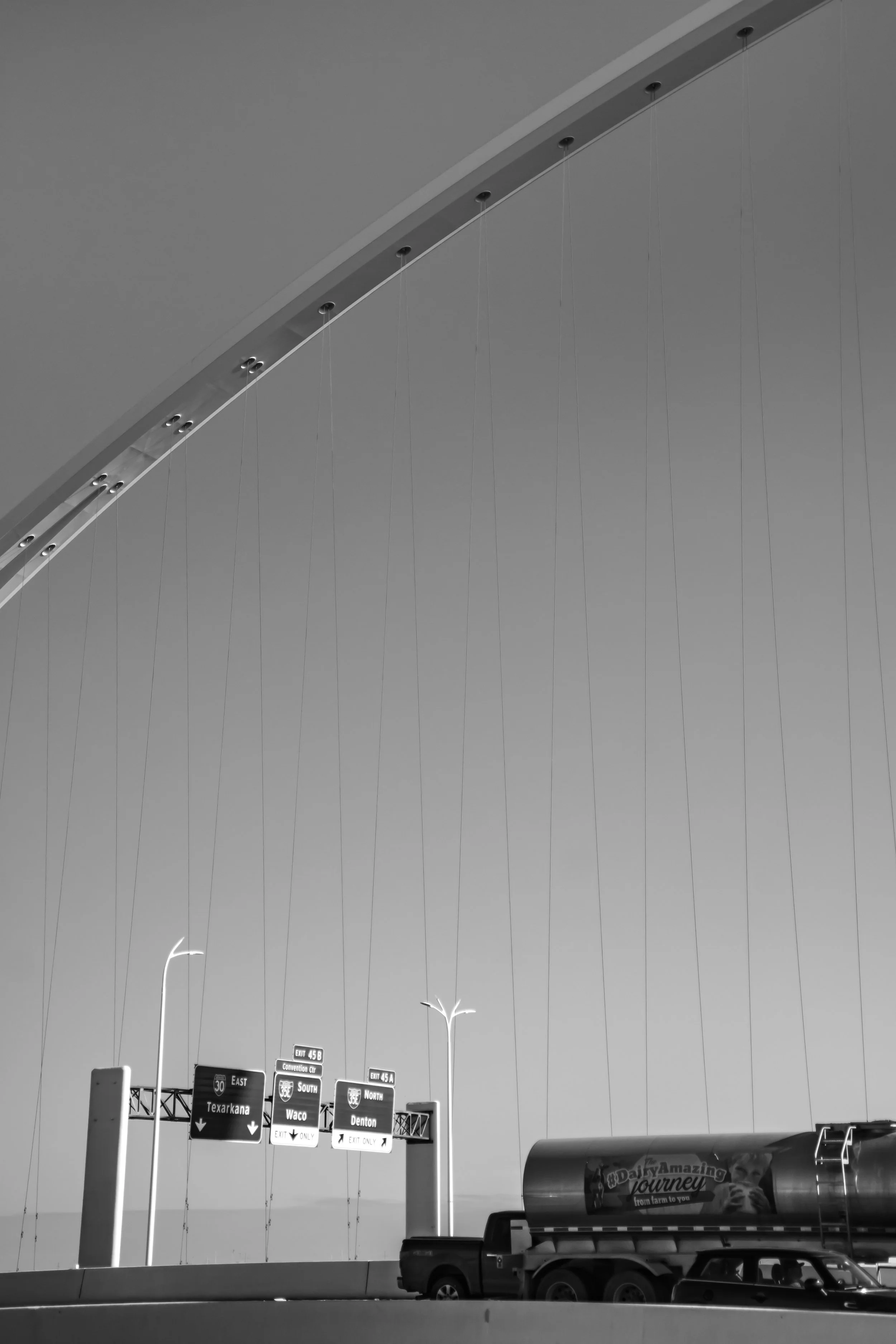 DanglingDallas.jpg