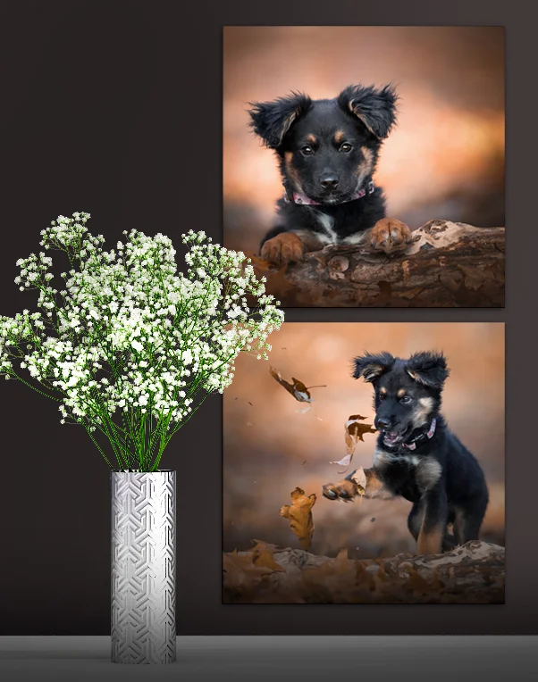 flower wall.jpg