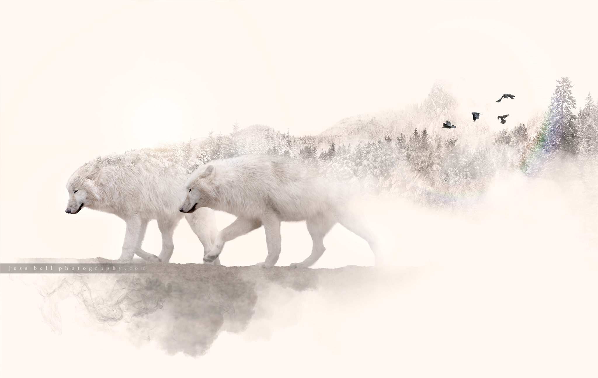 Wolves.png