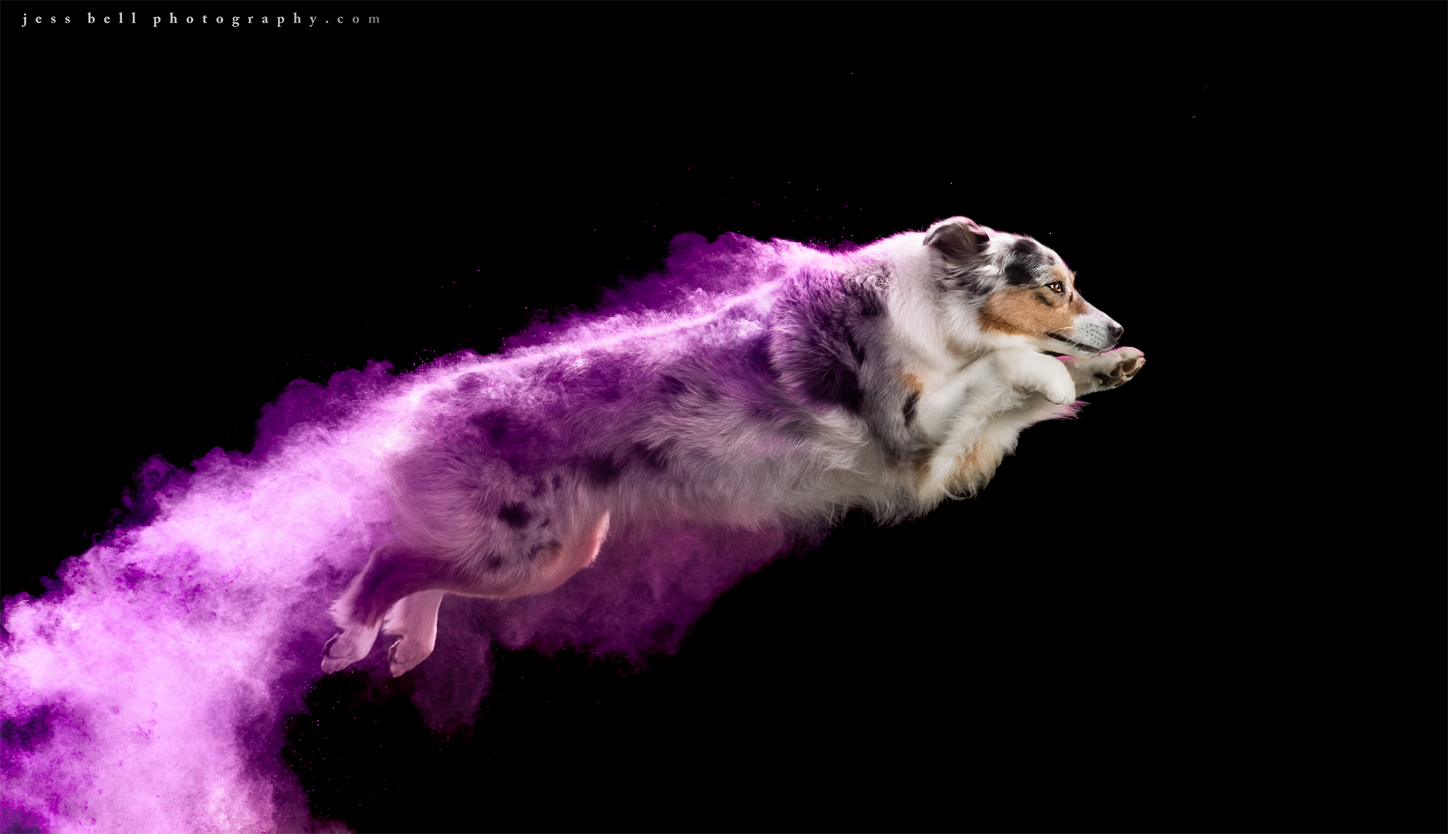 Robbi - sample.png
