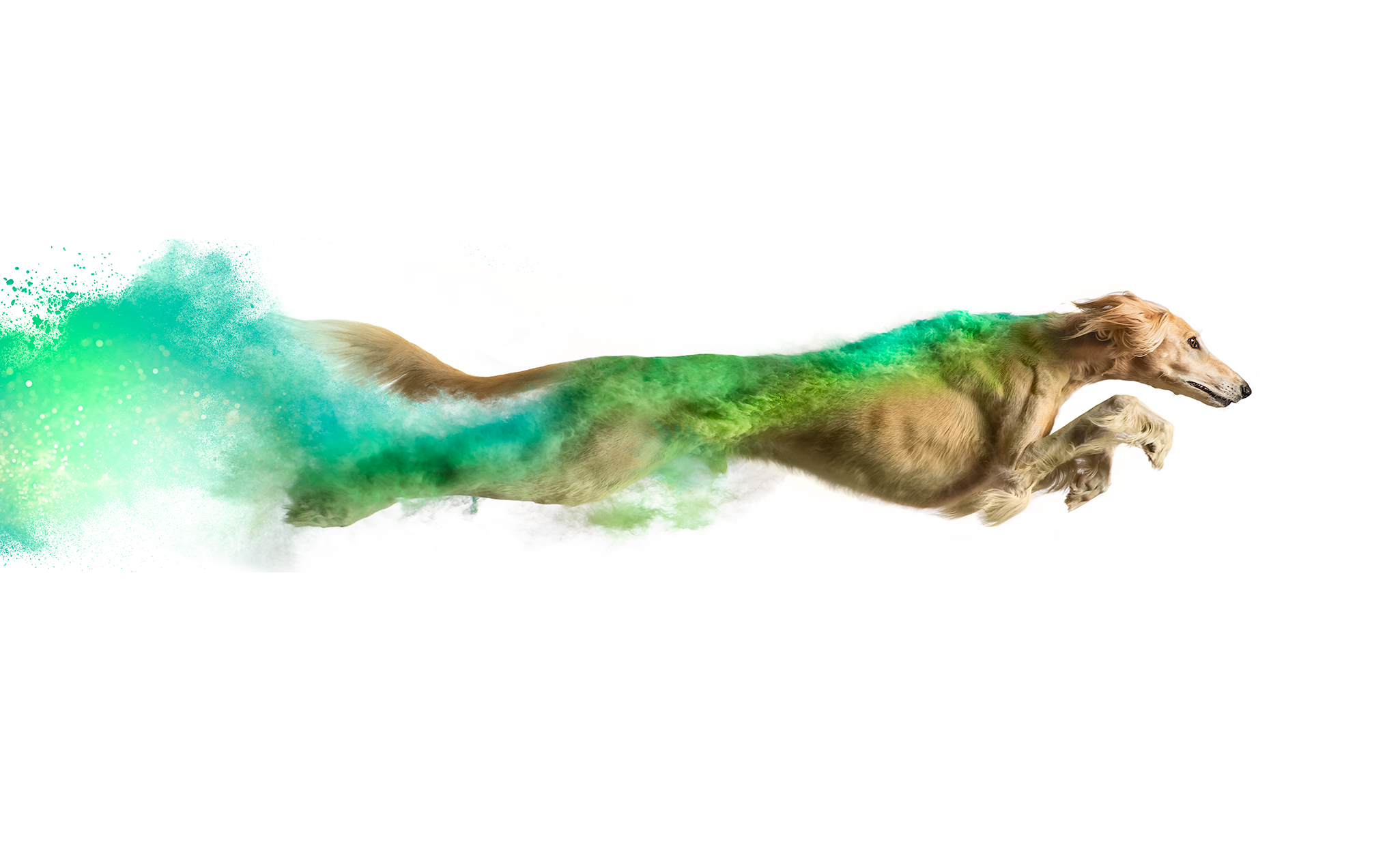 Final - passenger side sRGB - web sized.png