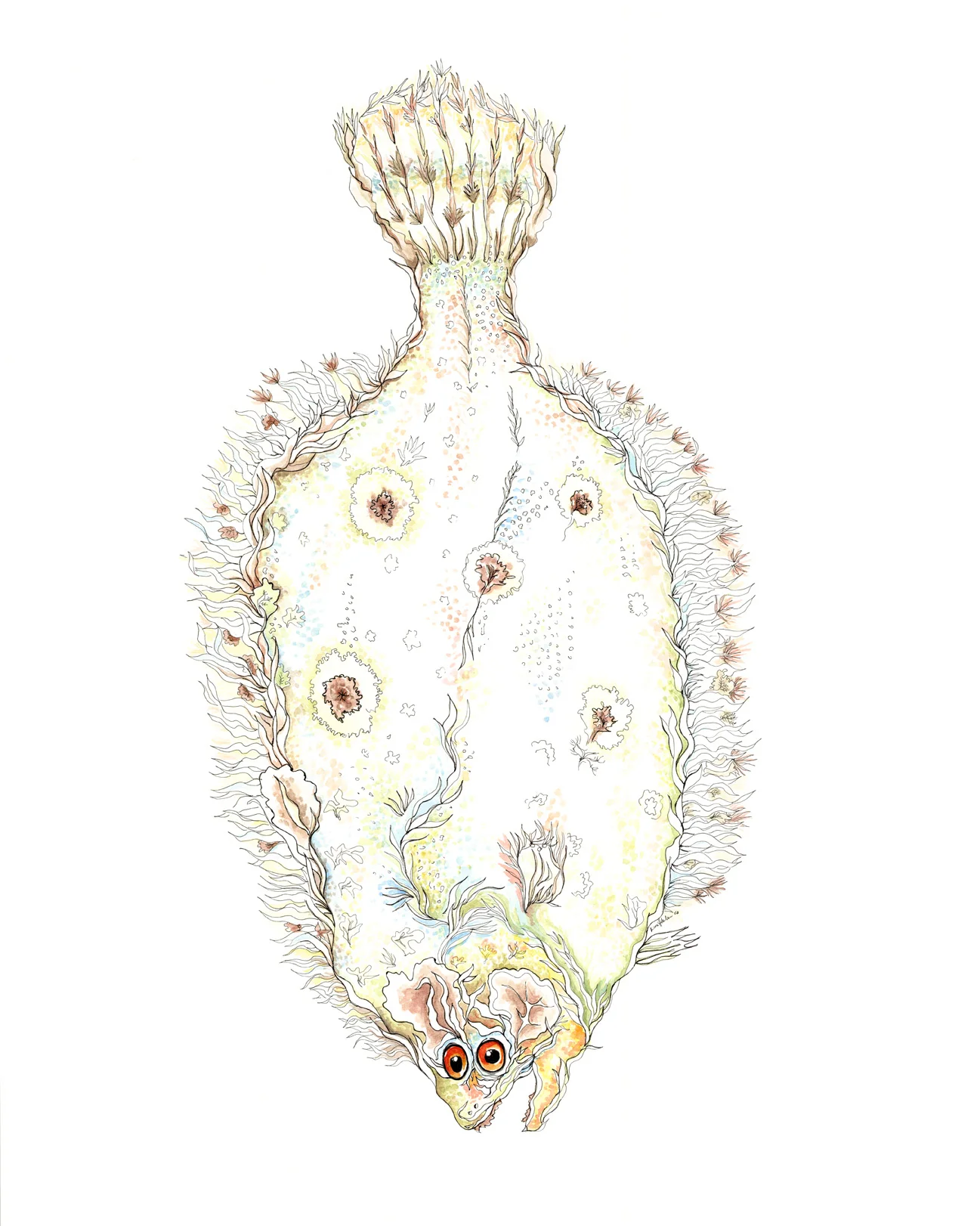 'Flukebae' - 16" x 20" archival giclee print by Kara Hoblin