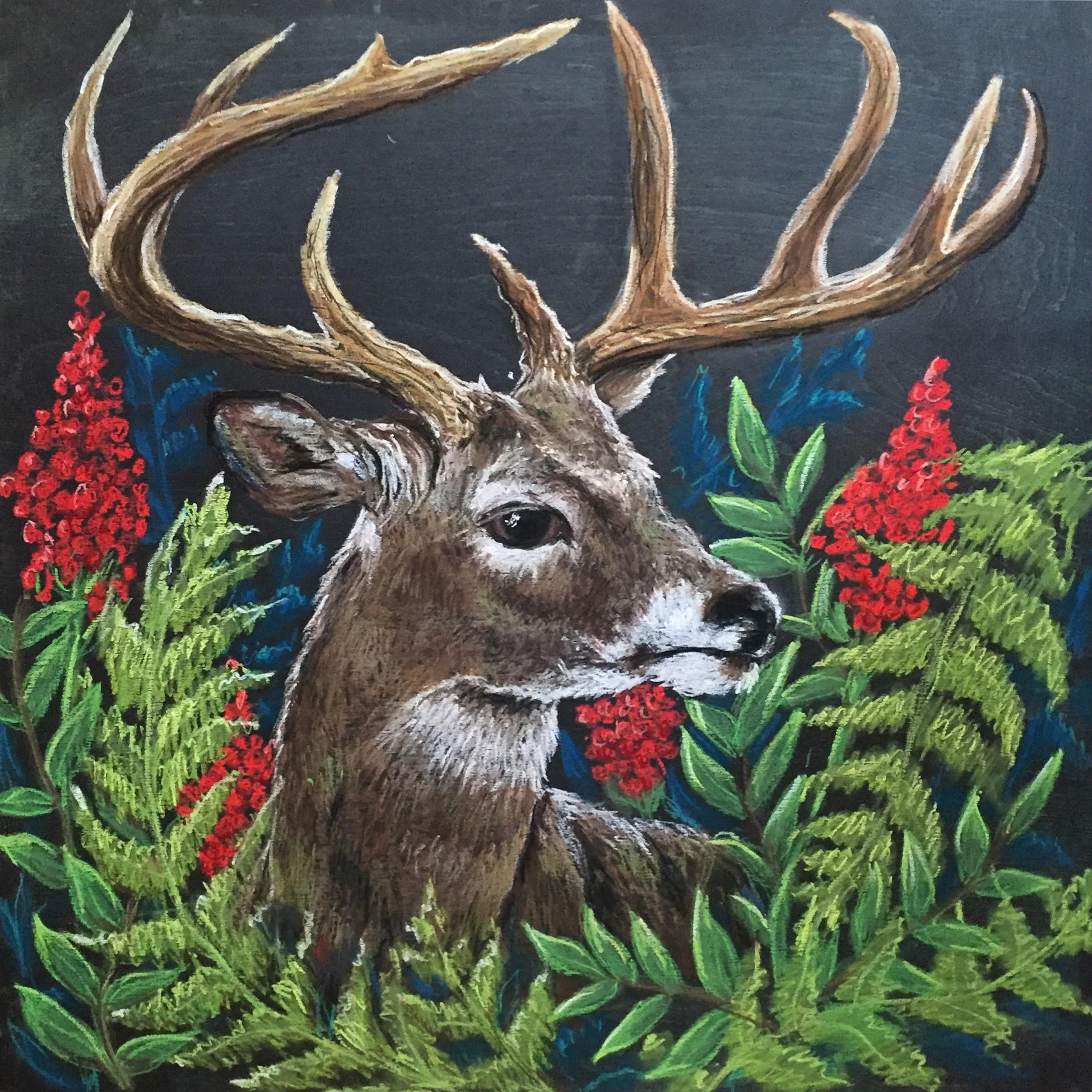 KARA HOBLIN Young Buck chalk on wood, framed 24" x 24" 2017 $800 Available