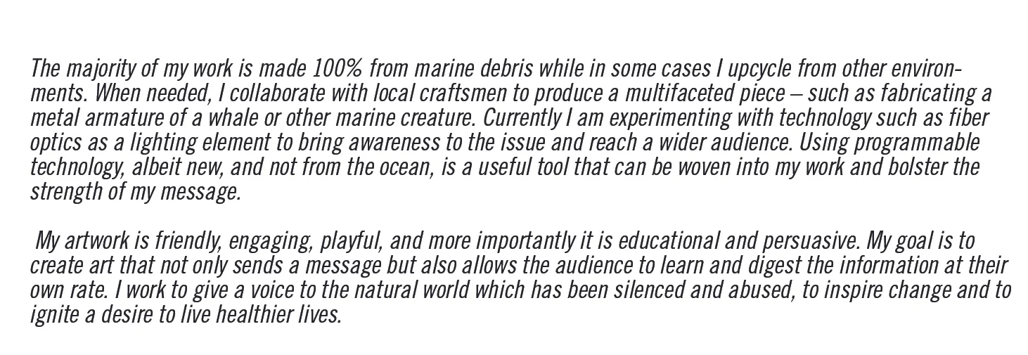 cindyroeblurb.jpg